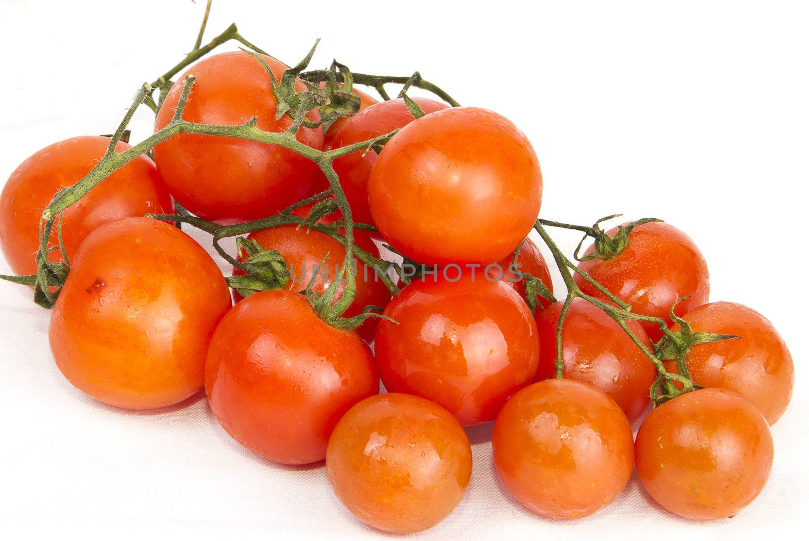 tomato by danilobiancalana