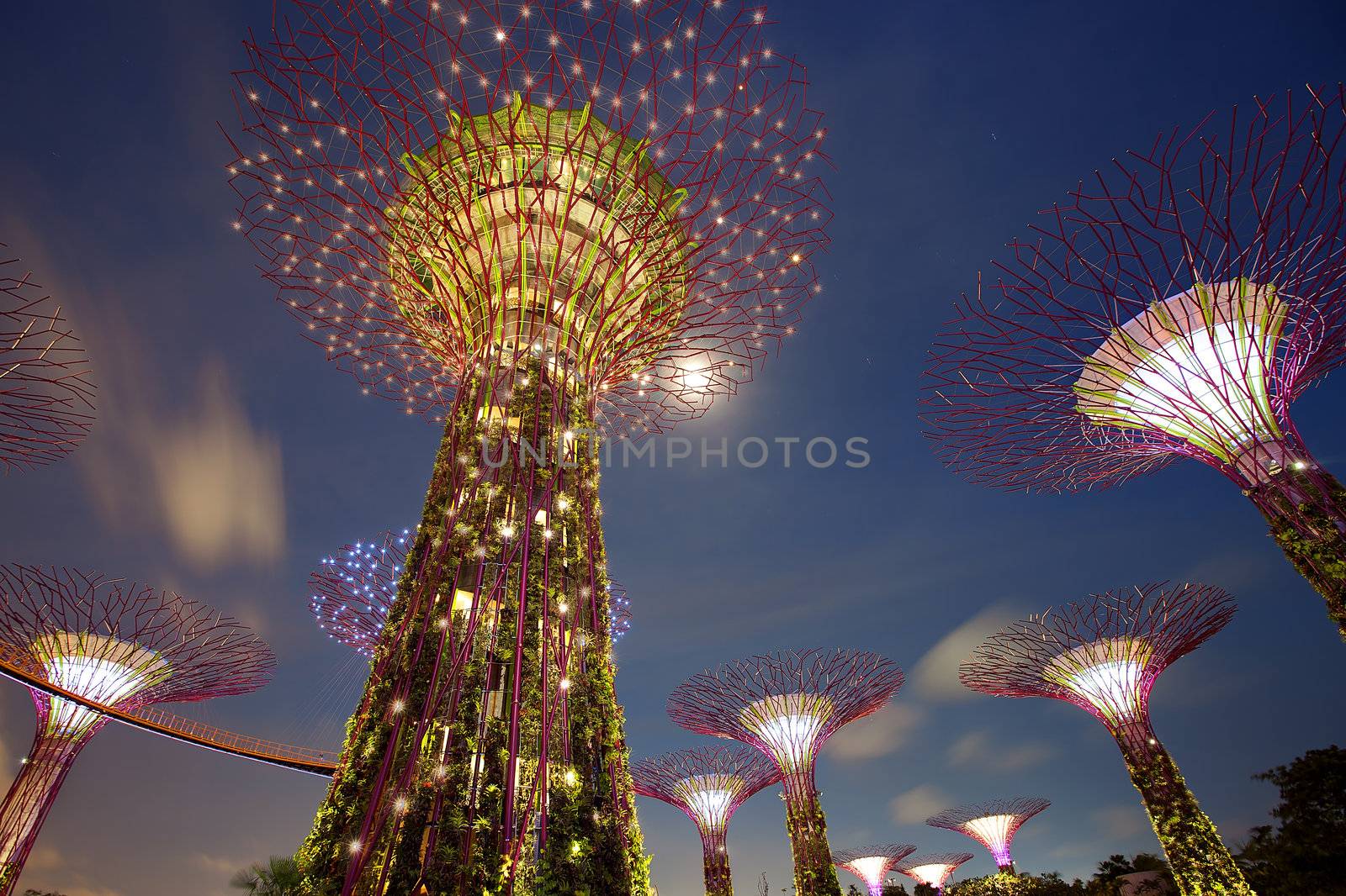 SINGAPORE - JANUARY 23: Night view of Supertree Grove at Gardens by the Bay on January 23, 2013 in Singapore. Spanning 250 acres of reclaimed land in central Singapore, adjacent to the Marina Reservoir.