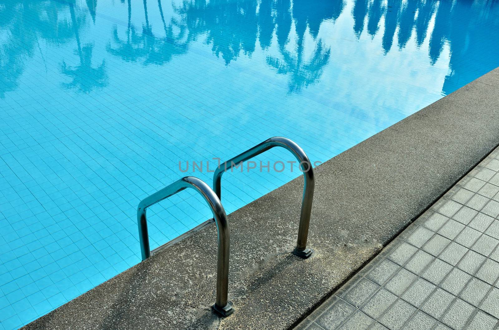 Swimming pool with tree reflected