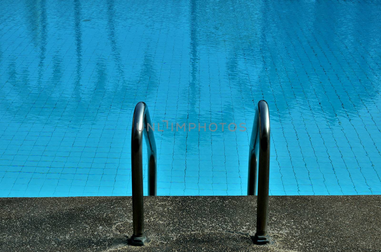 Swimming pool with tree reflected