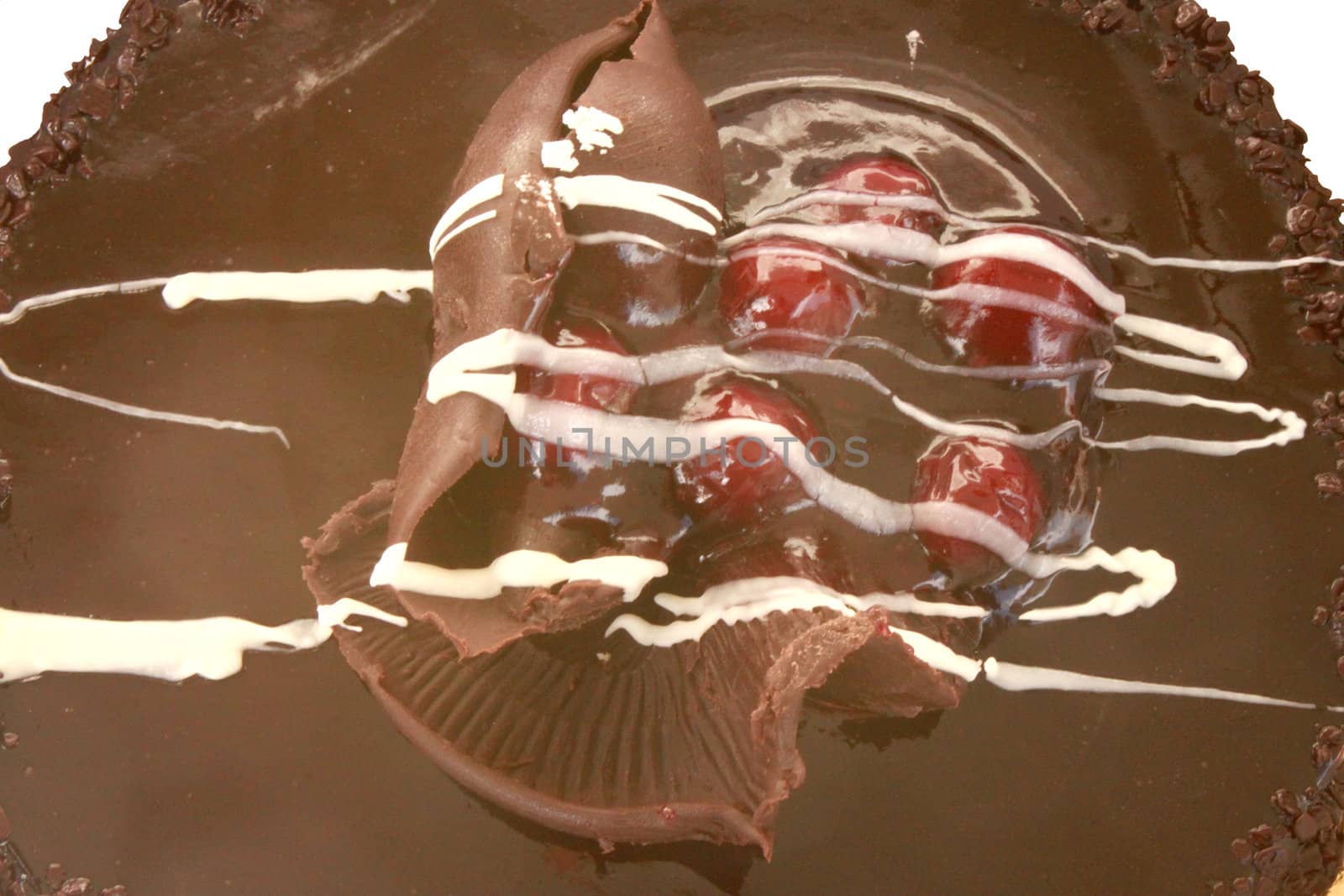 Close-up of chocolate cake