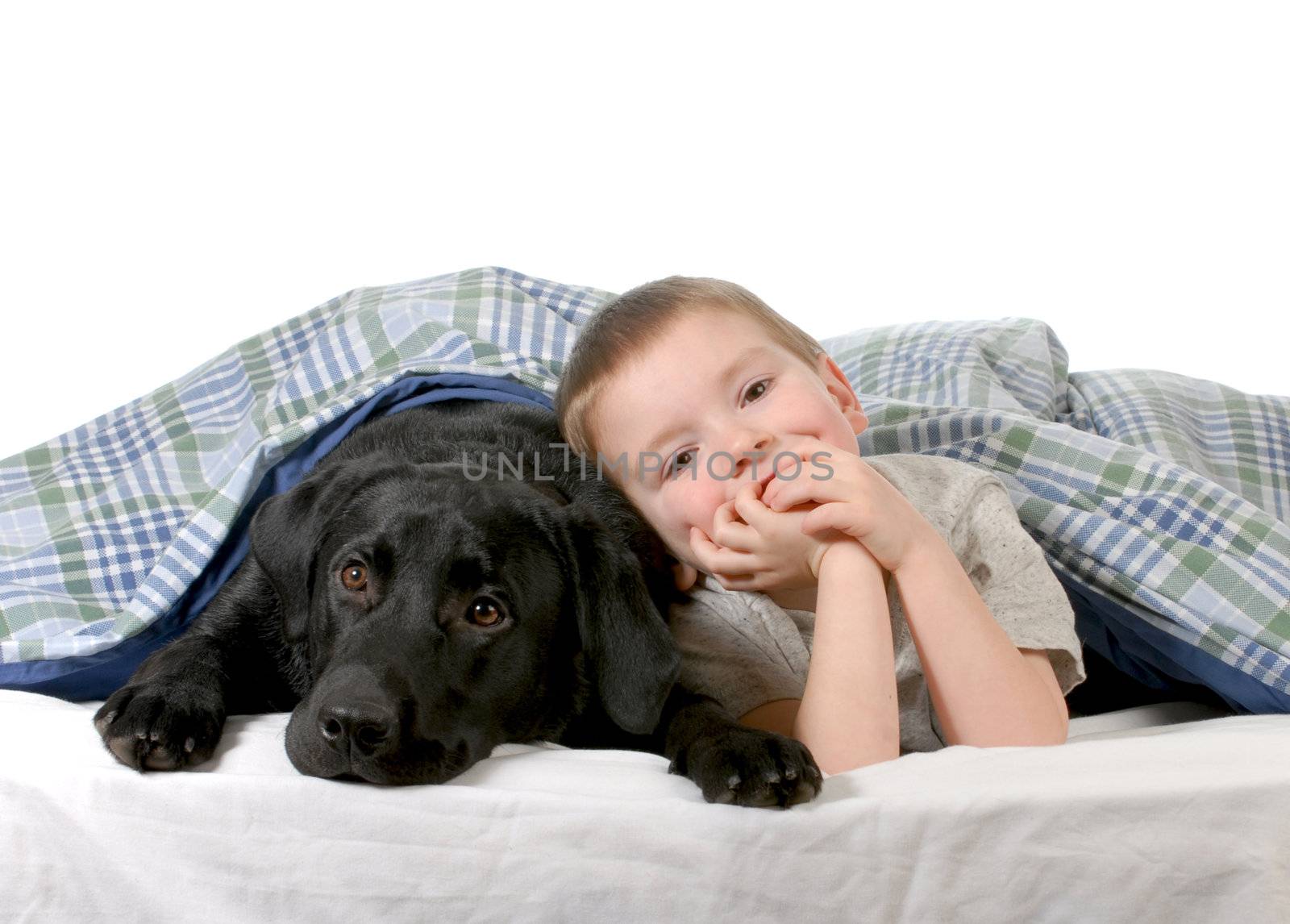 boy and dog - four year old boy and his dog in bed isolated on white background