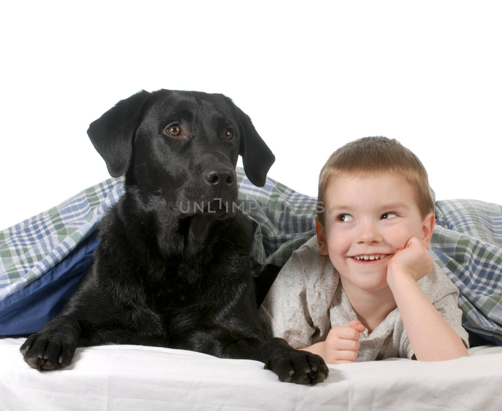 boy and dog - four year old boy and his dog in bed isolated on white background