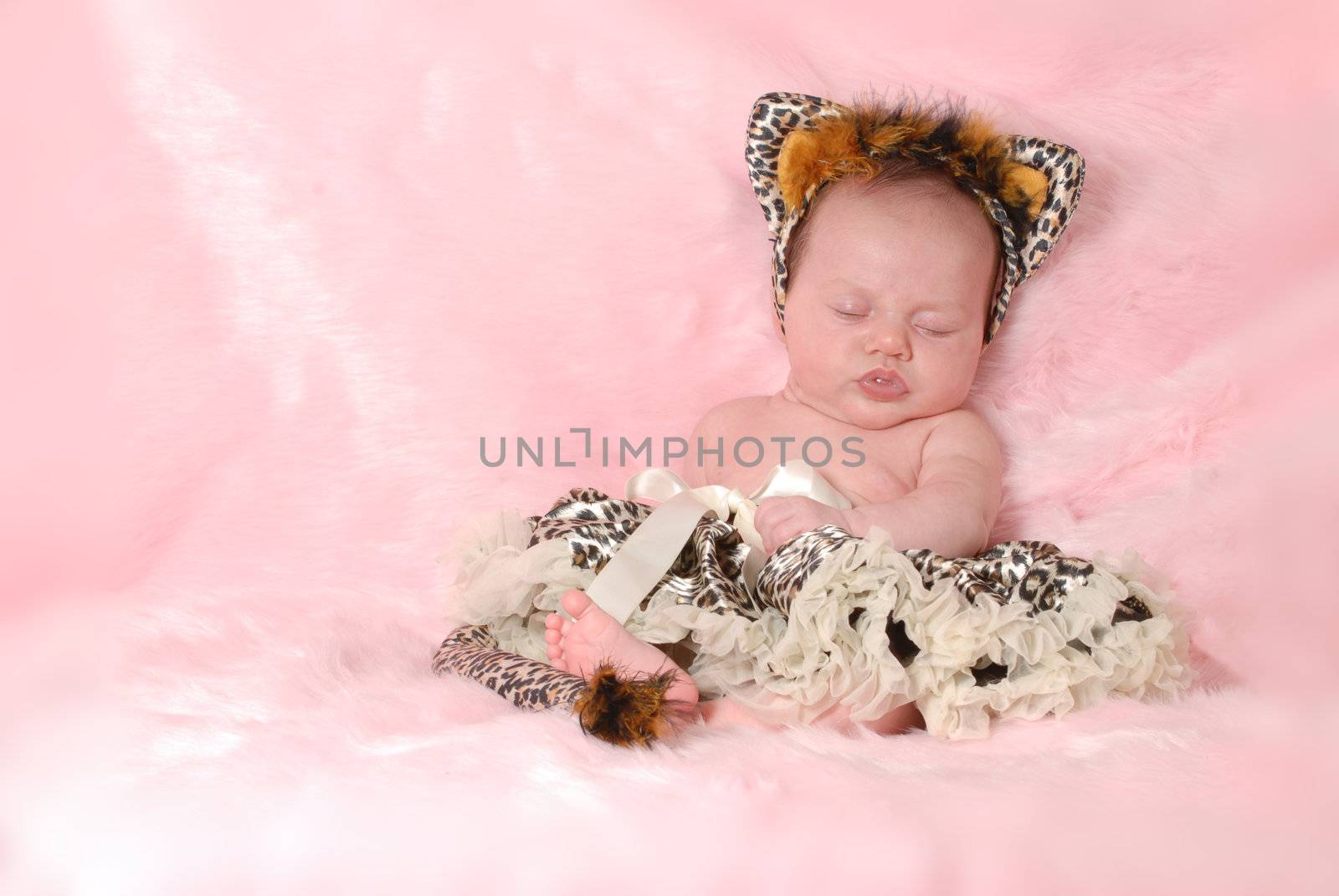 newborn baby dressed up like a cat on pink background - 2 months old