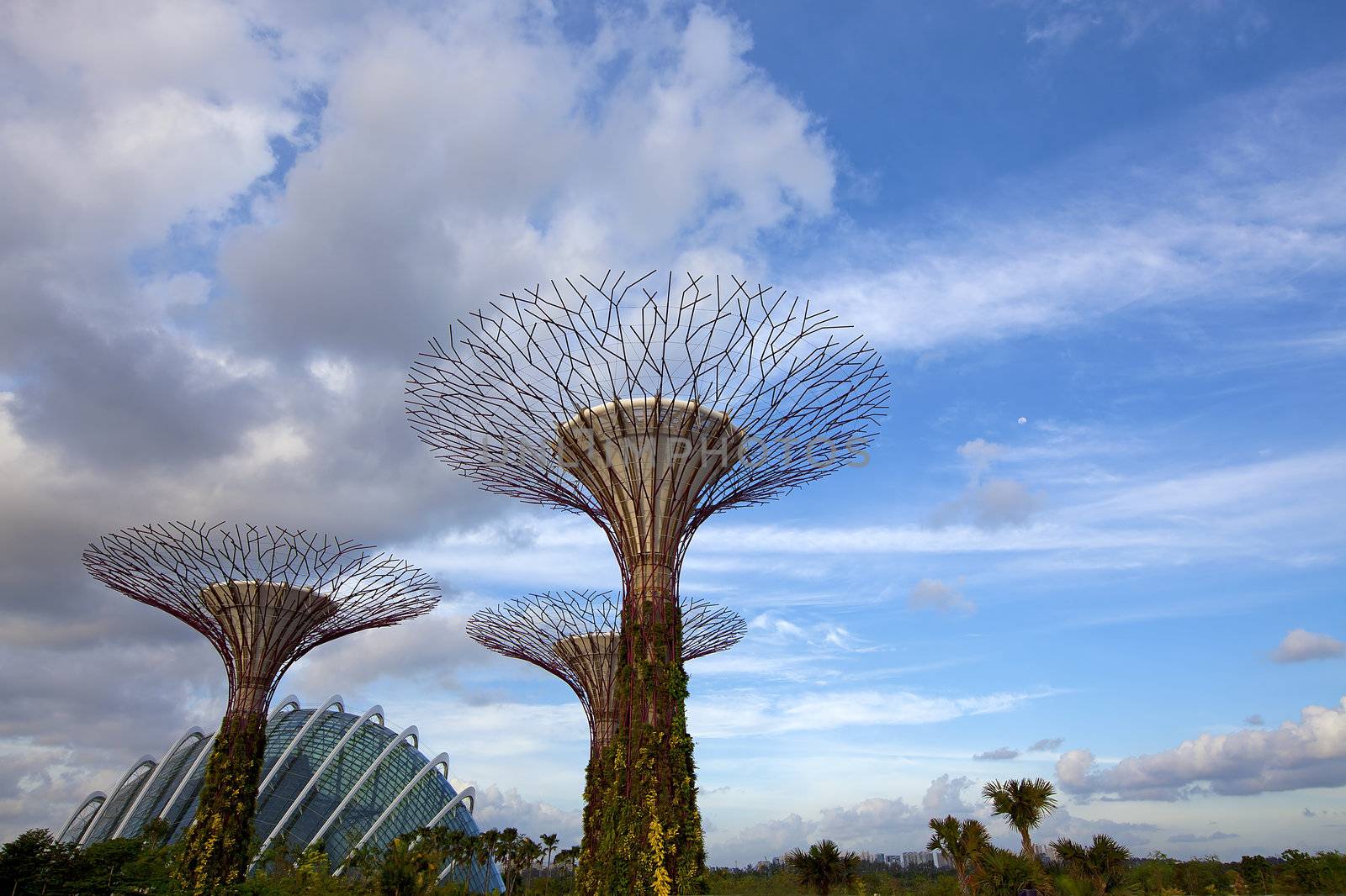 SINGAPORE - JANUARY 23: View of Supertree Grove at Gardens by the Bay on January 23, 2013 in Singapore. Spanning 250 acres of reclaimed land in central Singapore, adjacent to the Marina Reservoir.