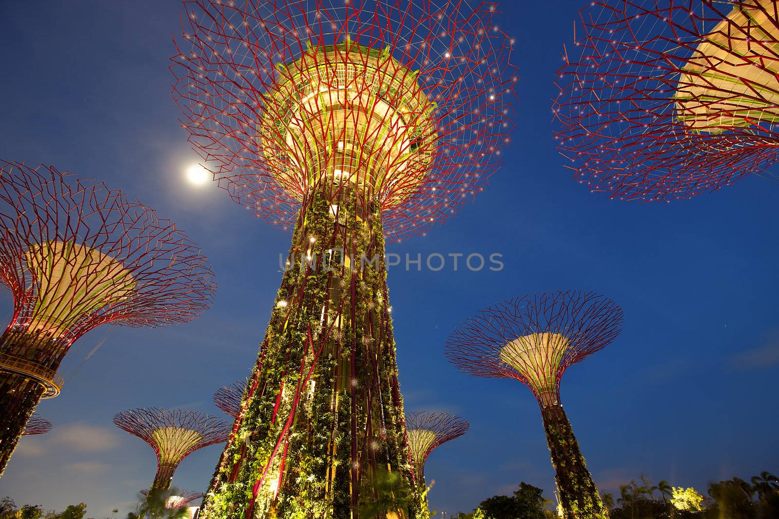 SINGAPORE - JANUARY 23: Night view of Supertree Grove at Gardens by the Bay on January 23, 2013 in Singapore. Spanning 250 acres of reclaimed land in central Singapore, adjacent to the Marina Reservoir.