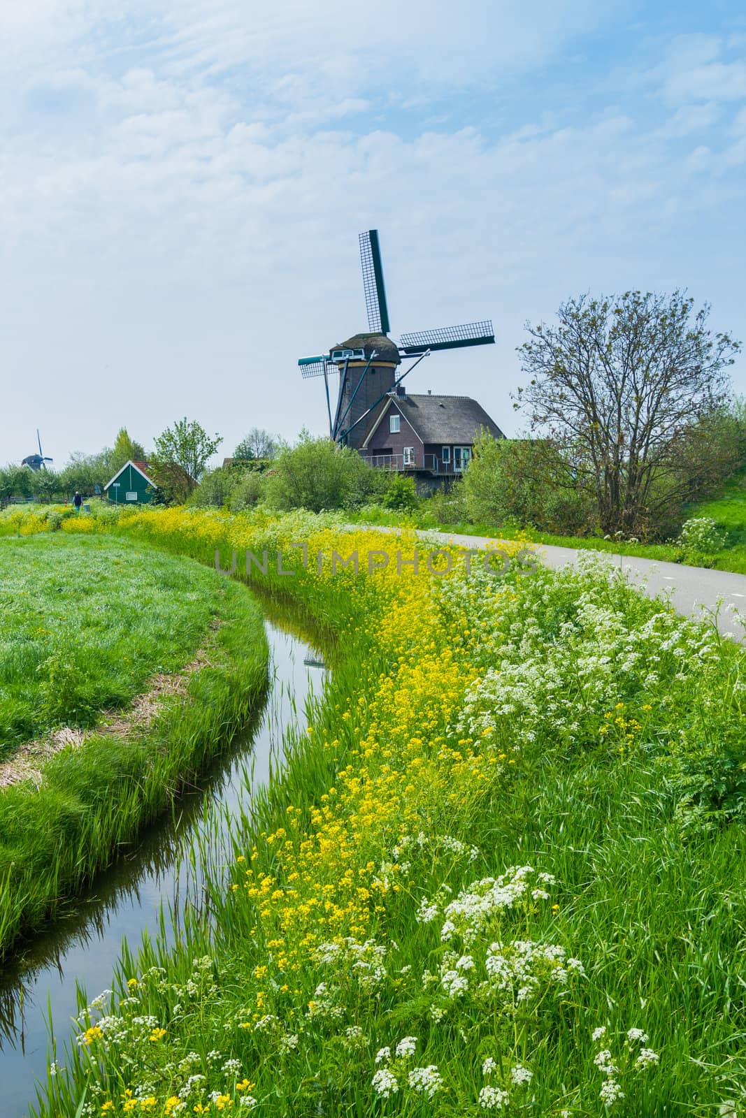 Windmill on the outskirts of Amsterdam. Holland the Netherlands. Vertical view