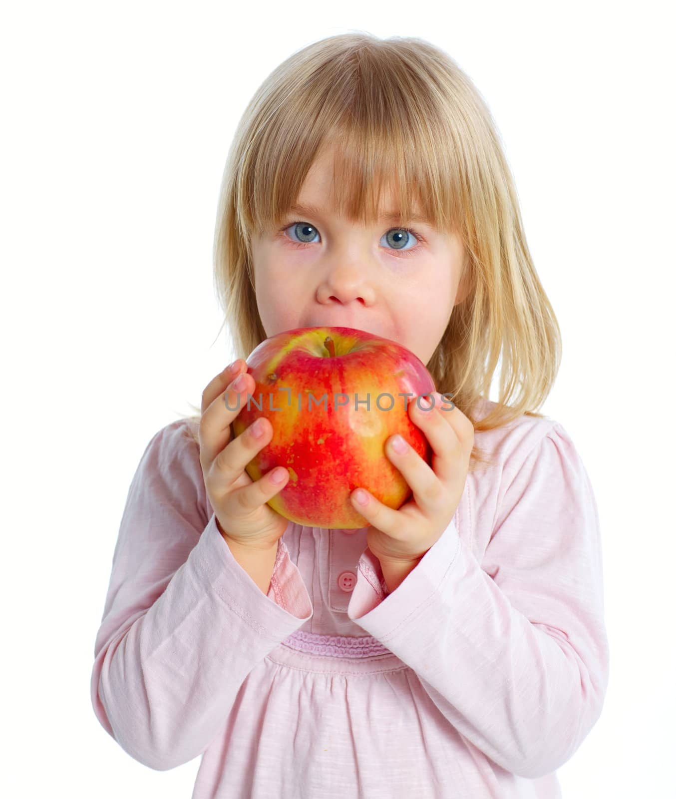 Little beauty girl eating big red apple. Isolated white background
