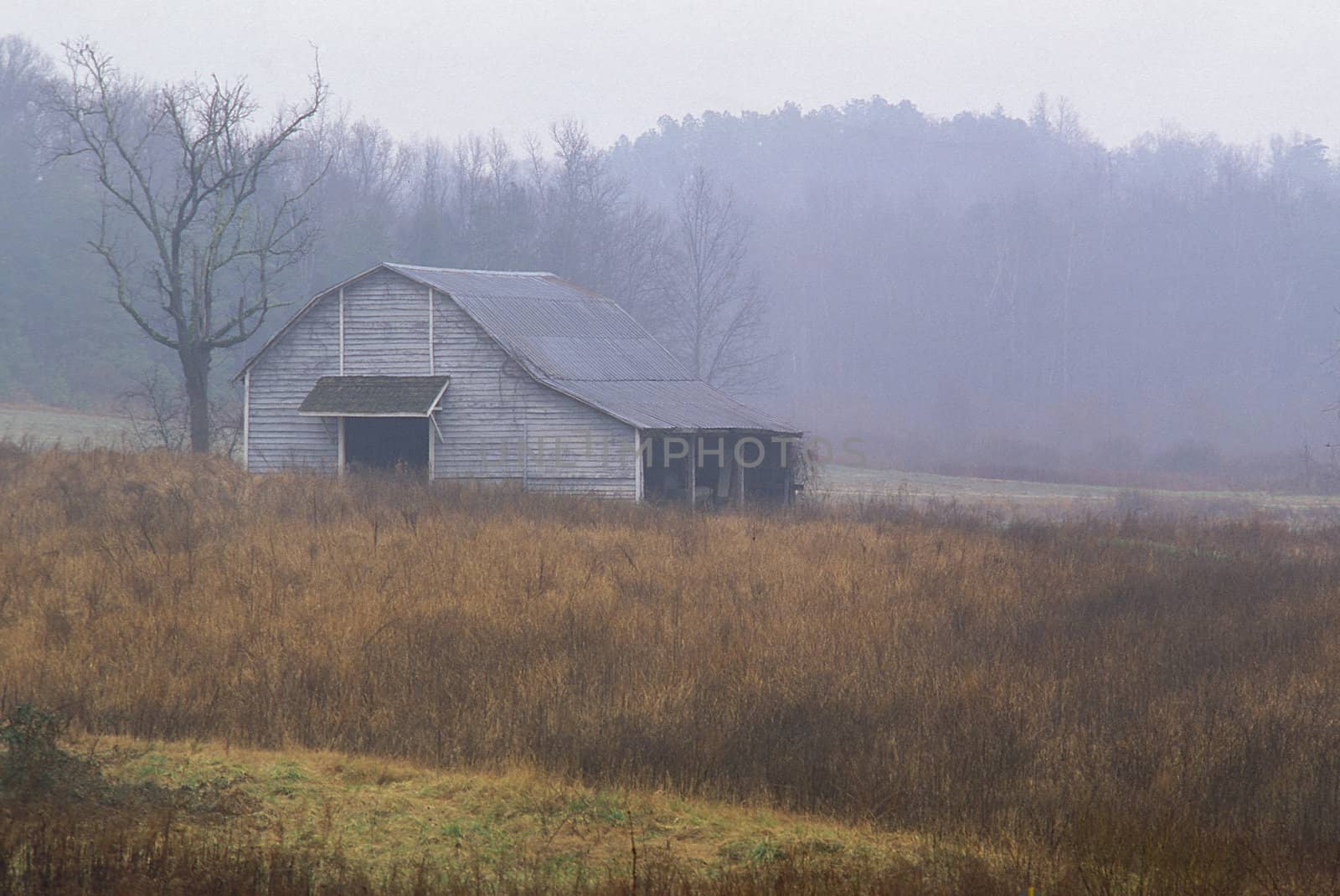 An old barn in a field on a misty day