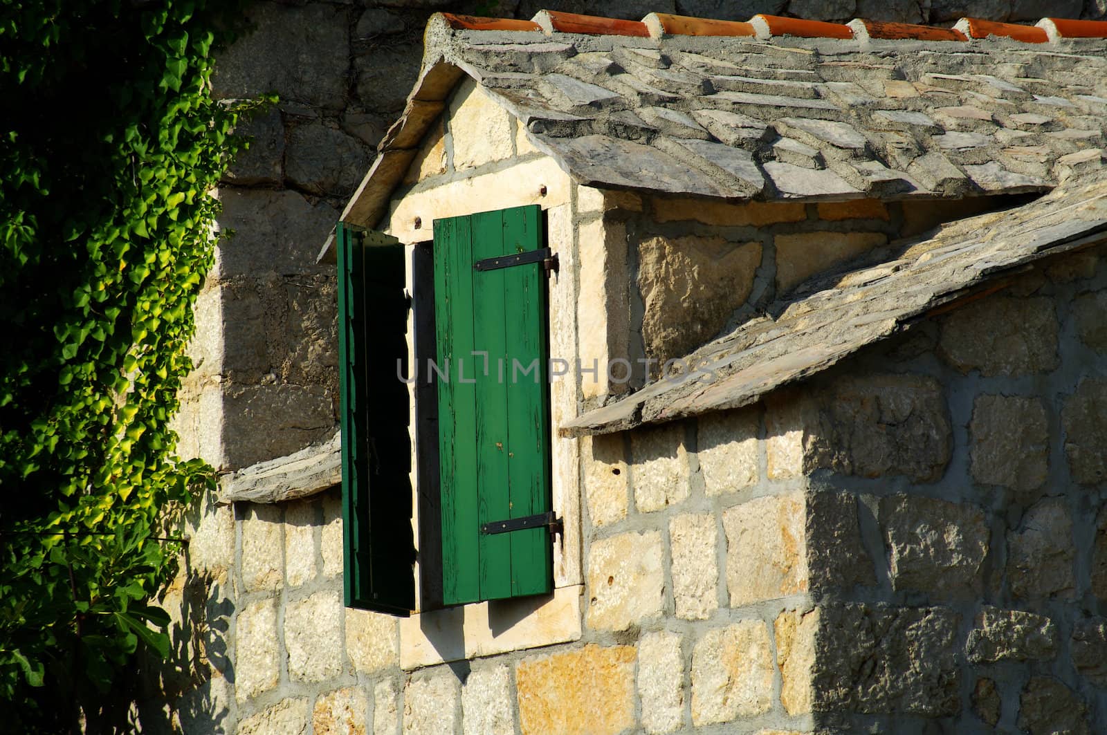 Old window on stone rural house with ivy on bakgroun