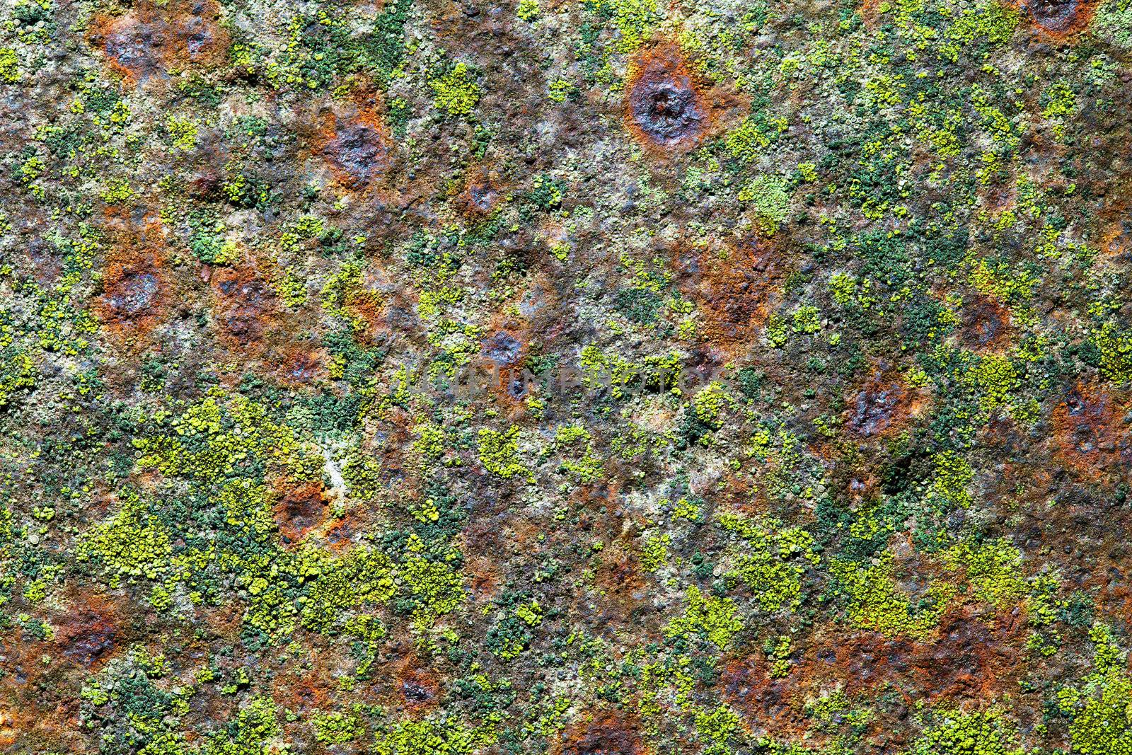 Old rusty iron for background with spots of moss 