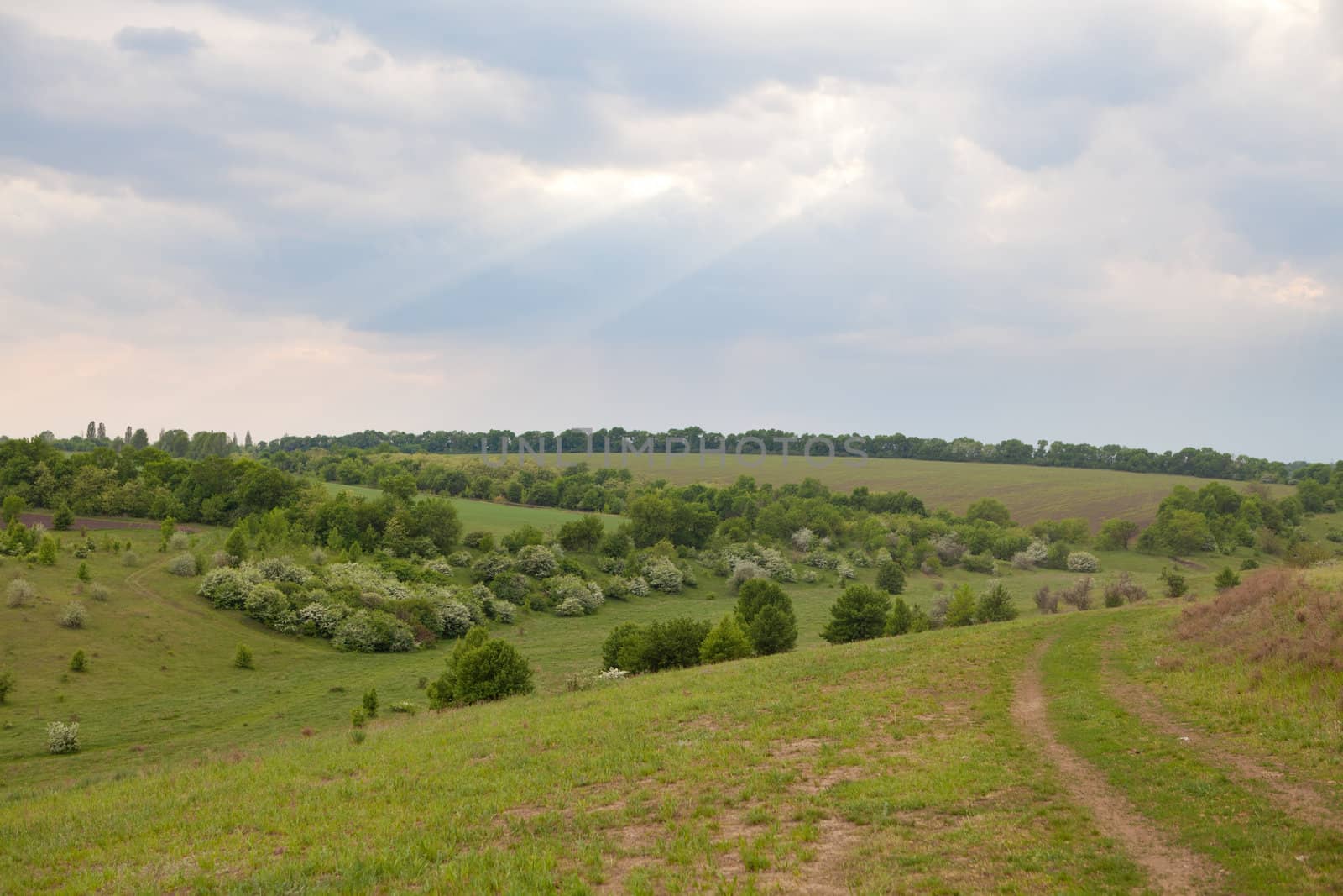 view from the green hill in the country 