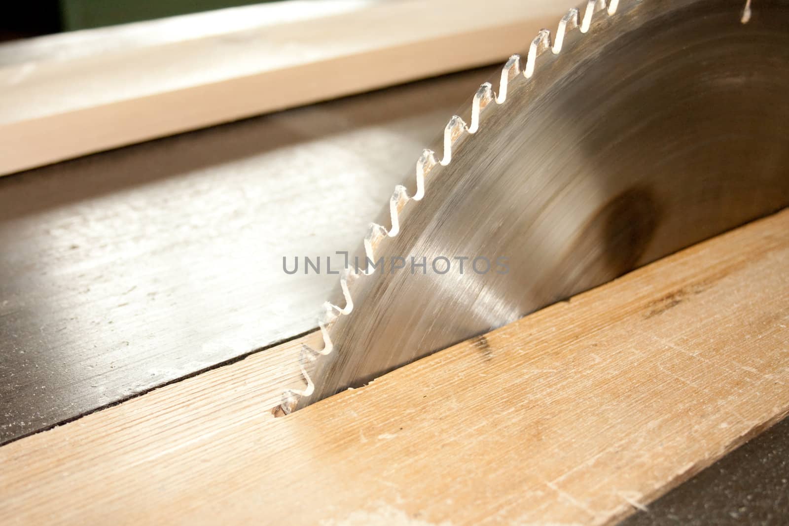 Blade cuts wood. The high speed of the saw blade.