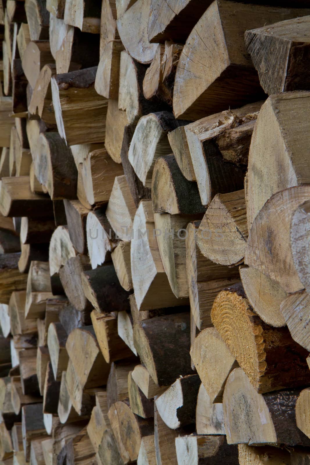 A huge pile of cut fire wood