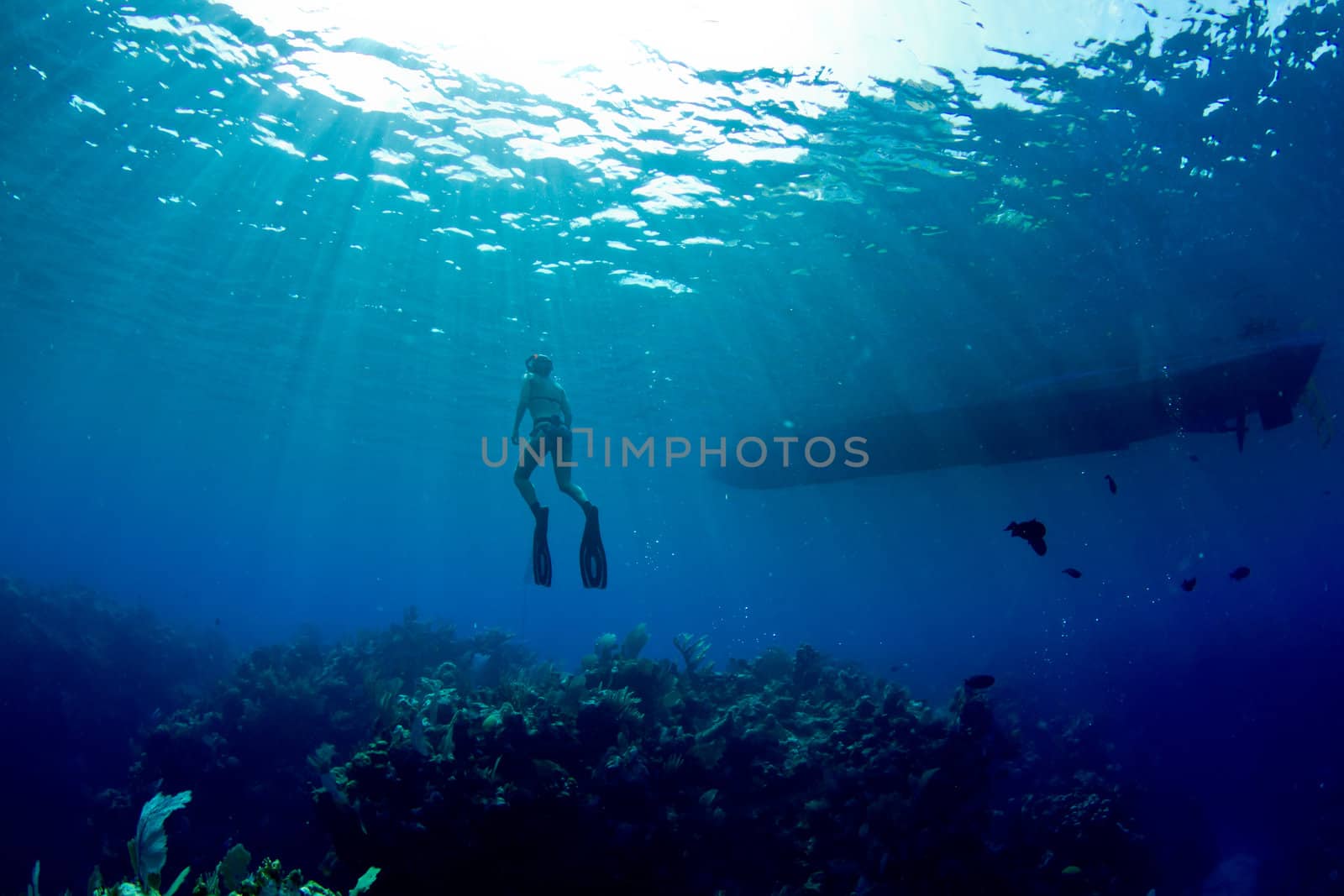 A young female freediver returns to the surface near her boat.