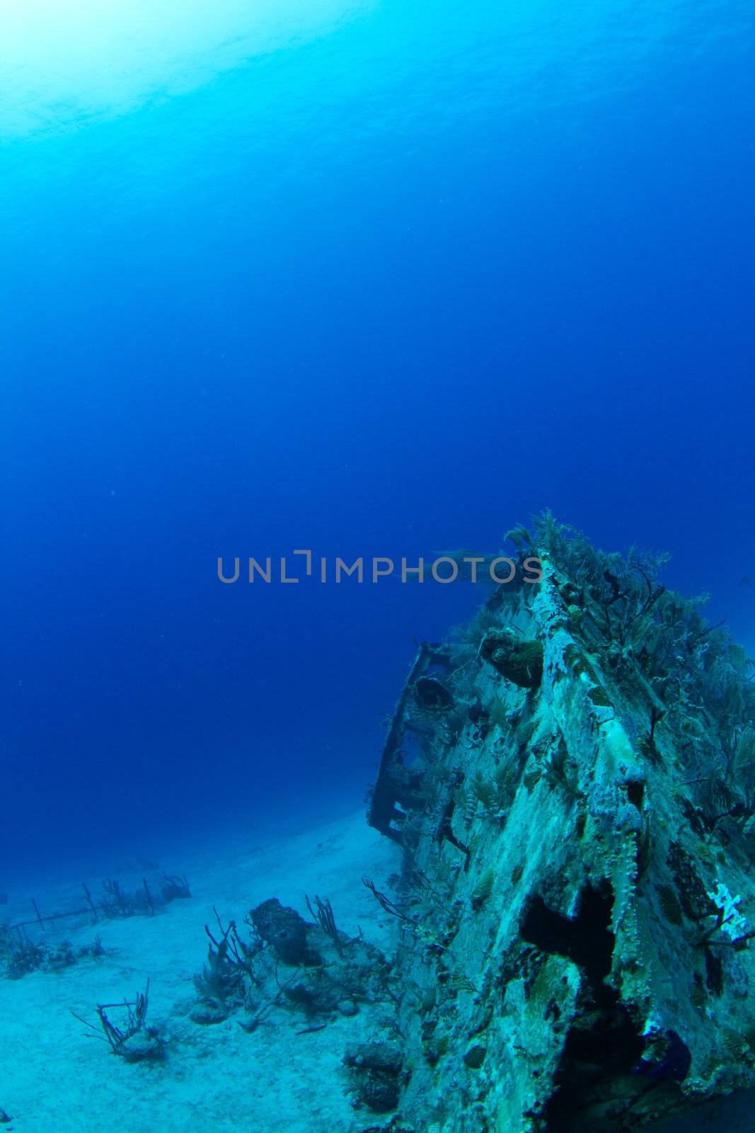 Ship wreck,  Honduras by MojoJojoFoto