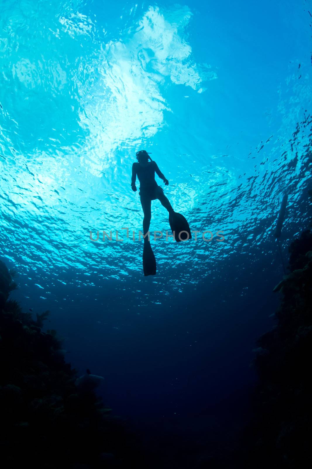 A freediver ascends through the crystal clear waters of the Caribbean.