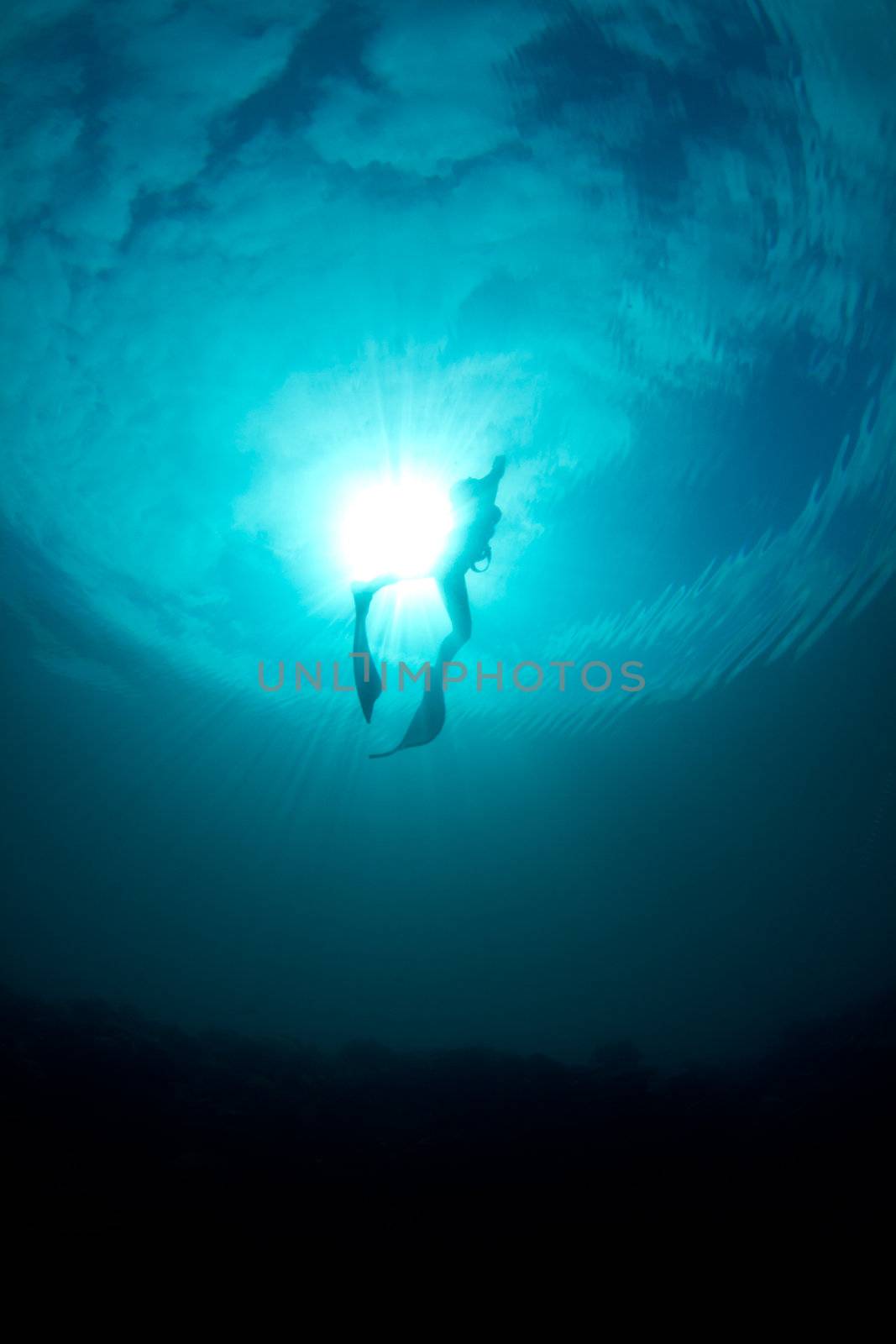 A young woman ascends from a free dive against the sun
