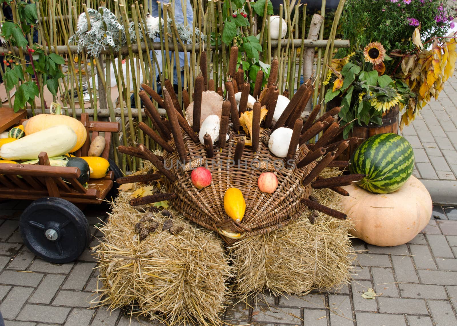 handmade hedgehog made from cat's-tails apple wicker basket courgette zucchini. autumn goodie decoration in outdoor fair market.