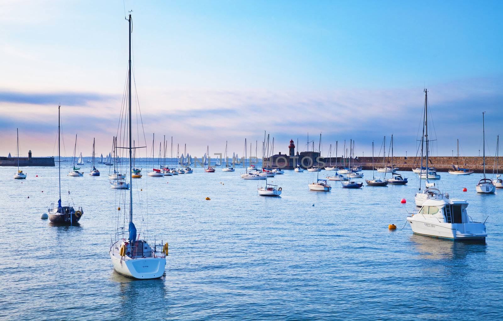 Anchored sailboats in a city harbor at sunset