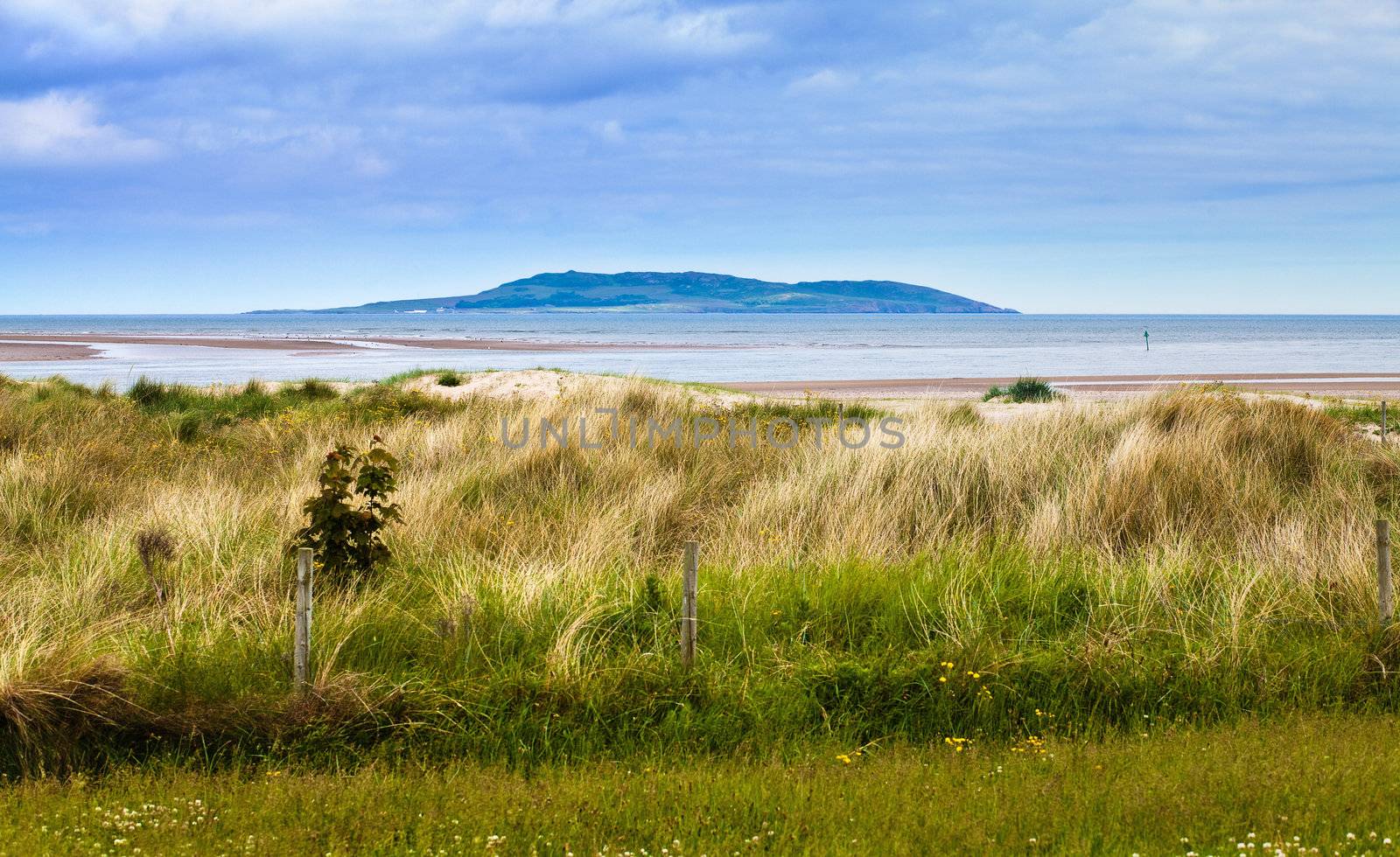 grass growing on dunes near the sea; little island is visible in background