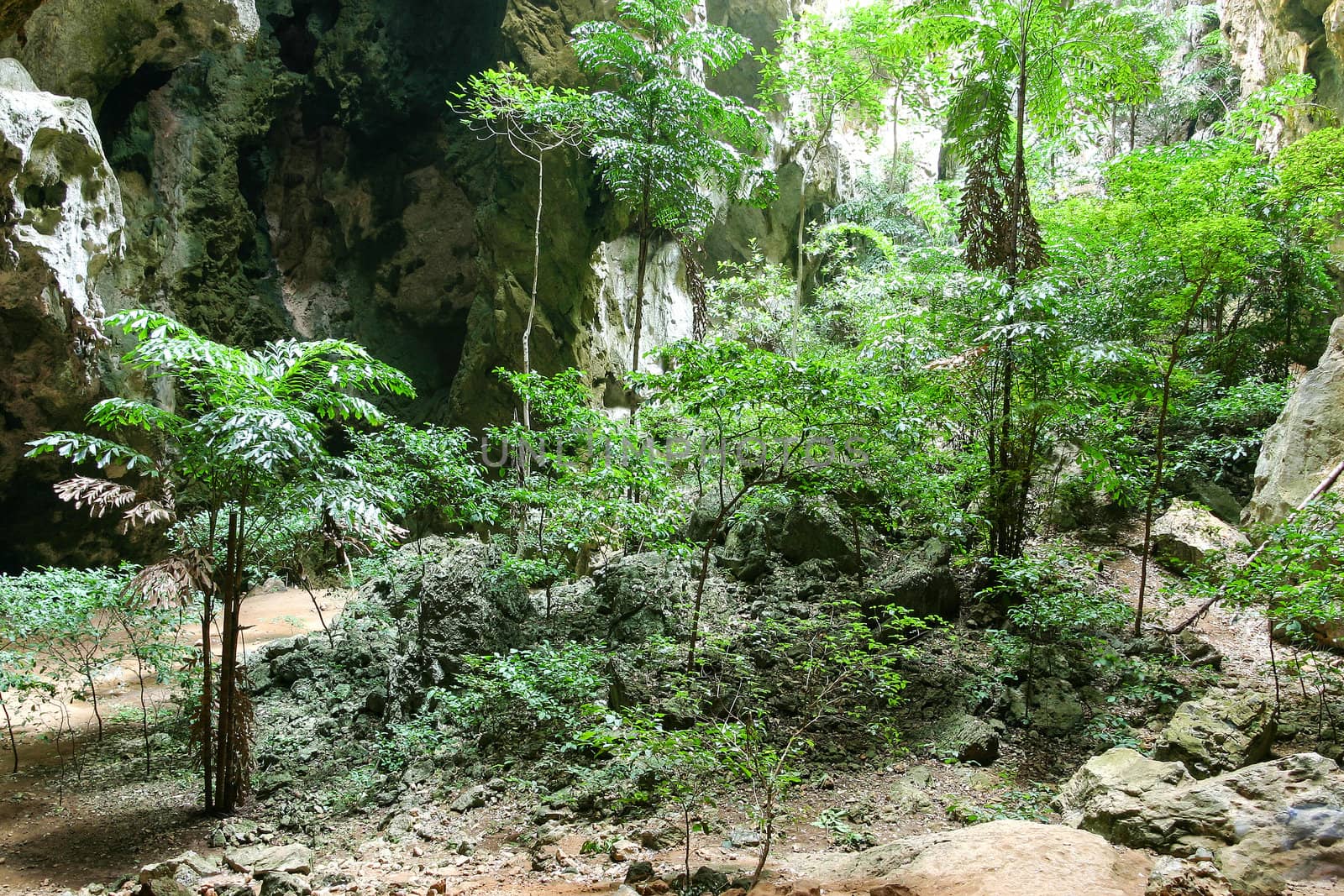 Enchanting tropical mountain cave, Sam Roi Yot, Thailand