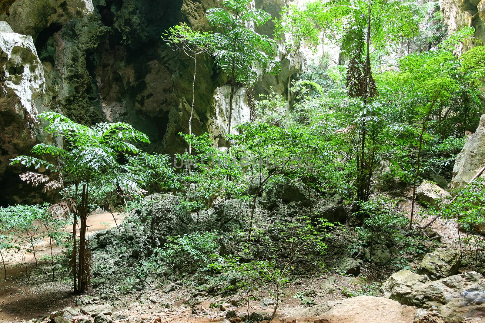 Enchanting tropical mountain cave by jame_j@homail.com