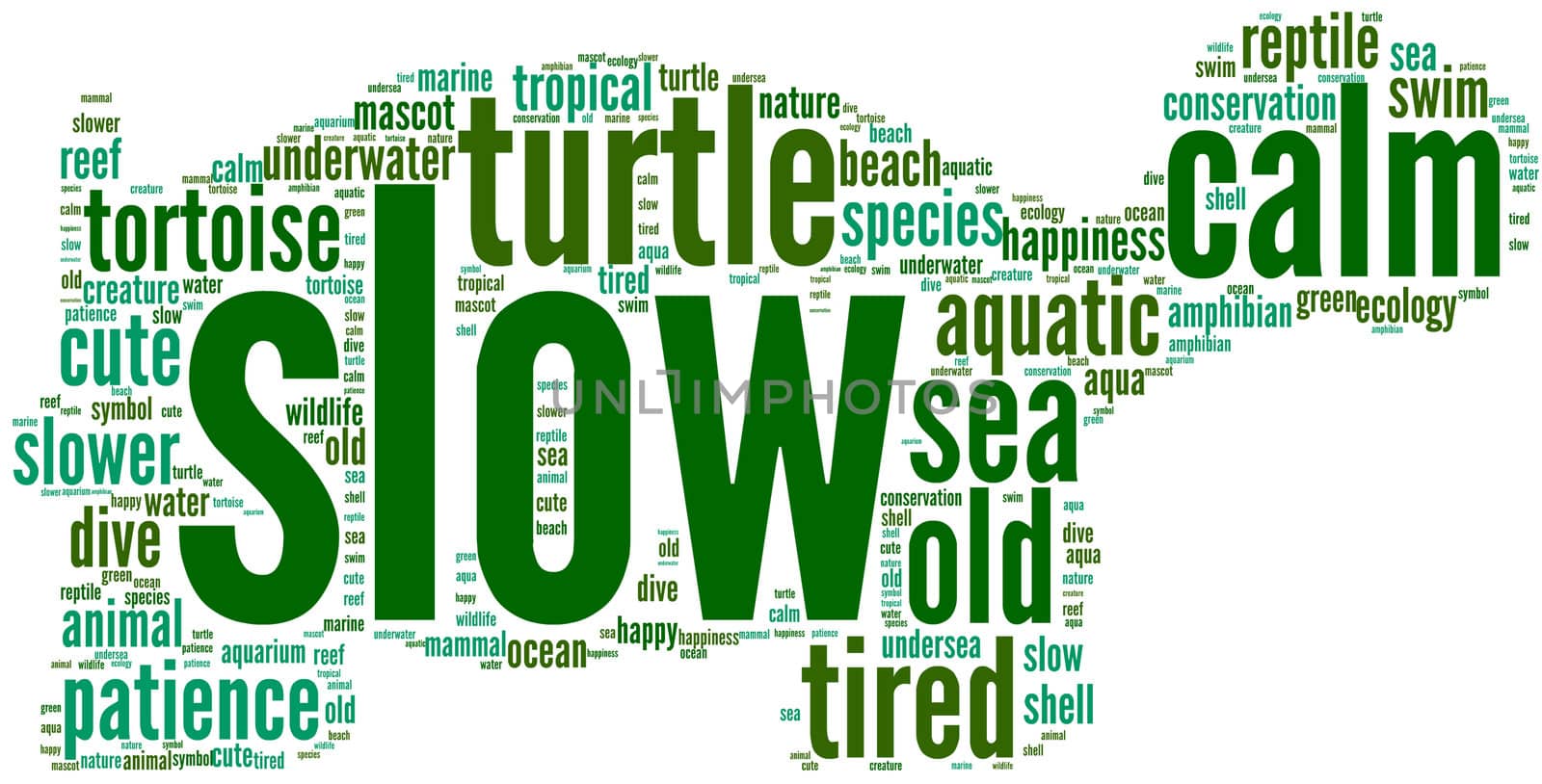 turtle shaped tag cloud by lifeinapixel