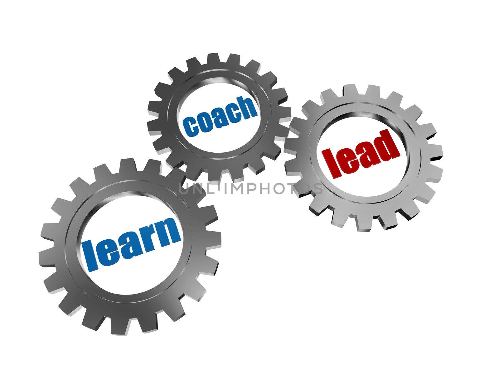 learn, coach and lead - words in 3d silver grey gearwheels, business concept