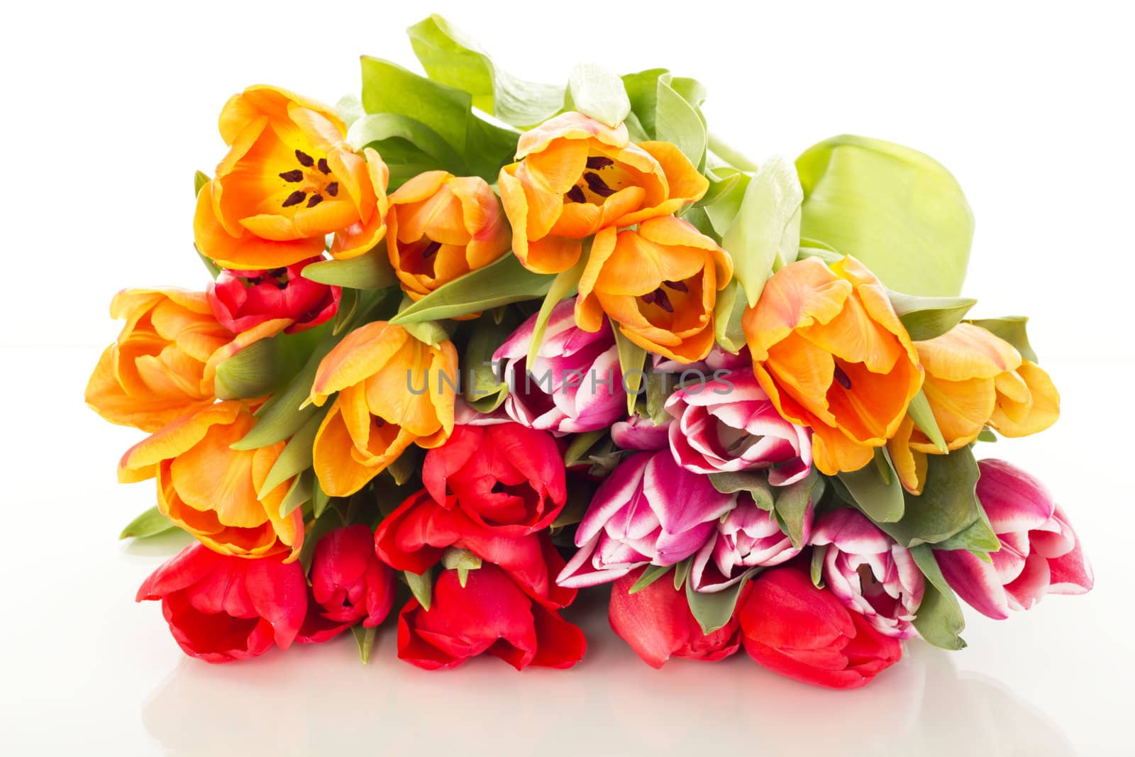Bunch of tulips