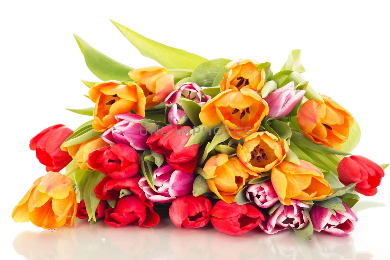 Bunch of tulips
