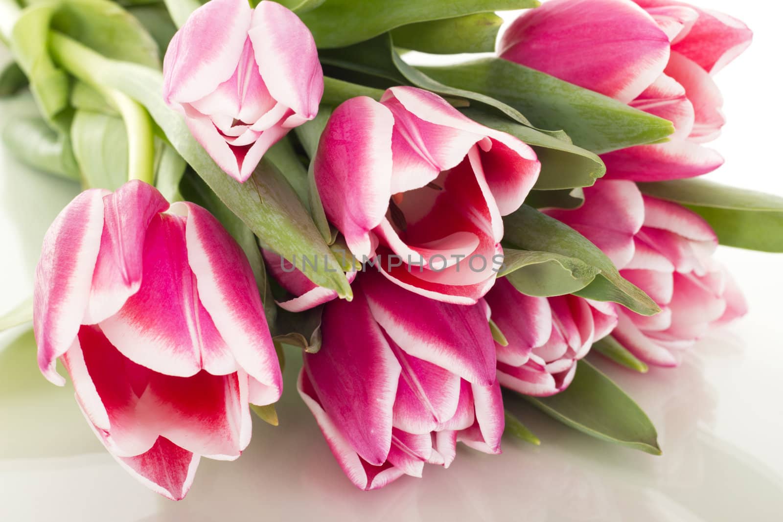 Bunch of tulips