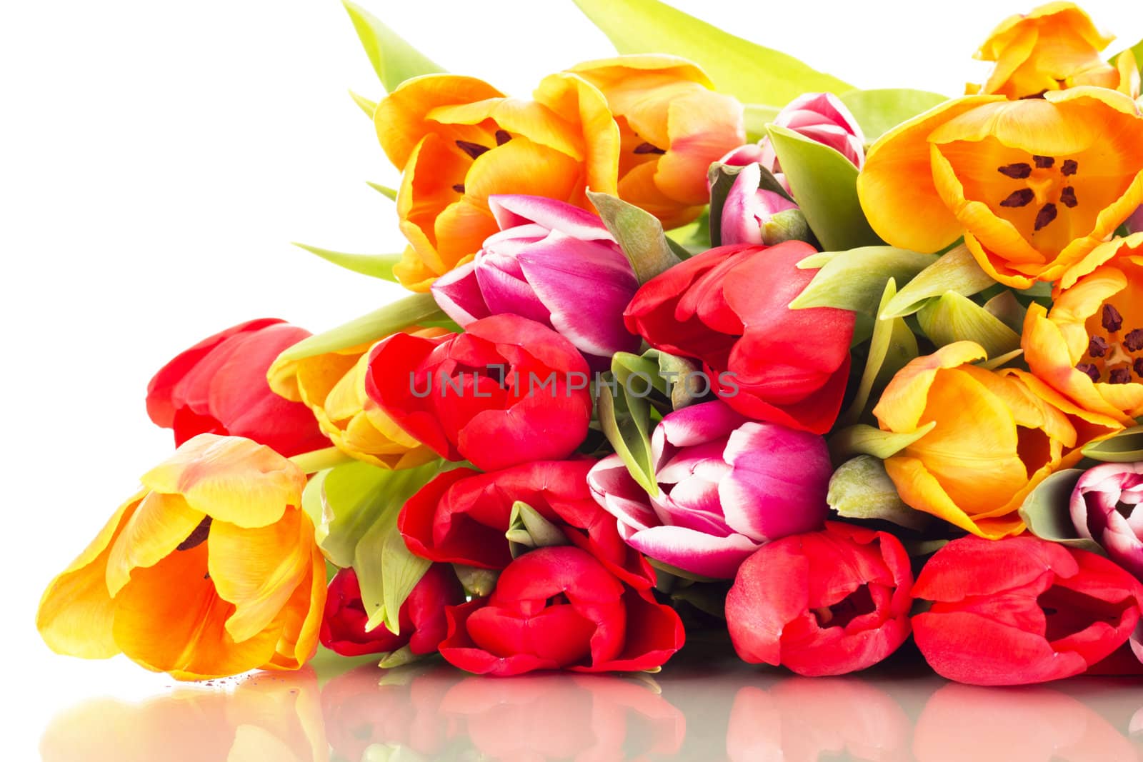Bunch of tulips