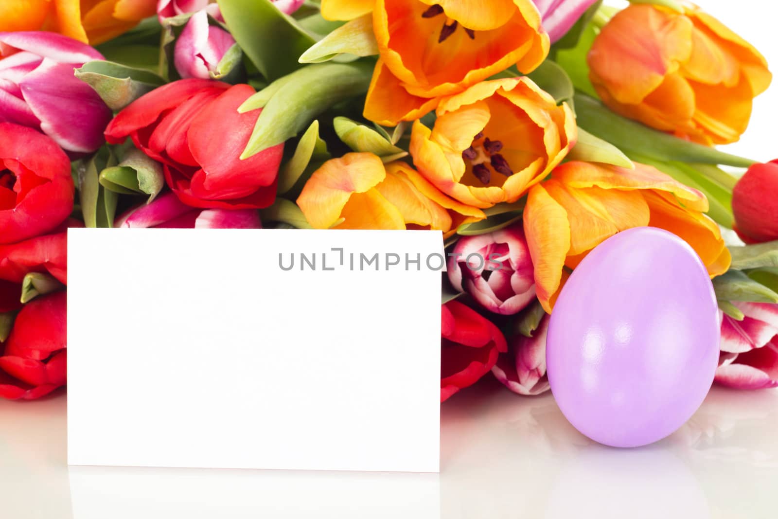 Bunch of tulips with easter egg and card