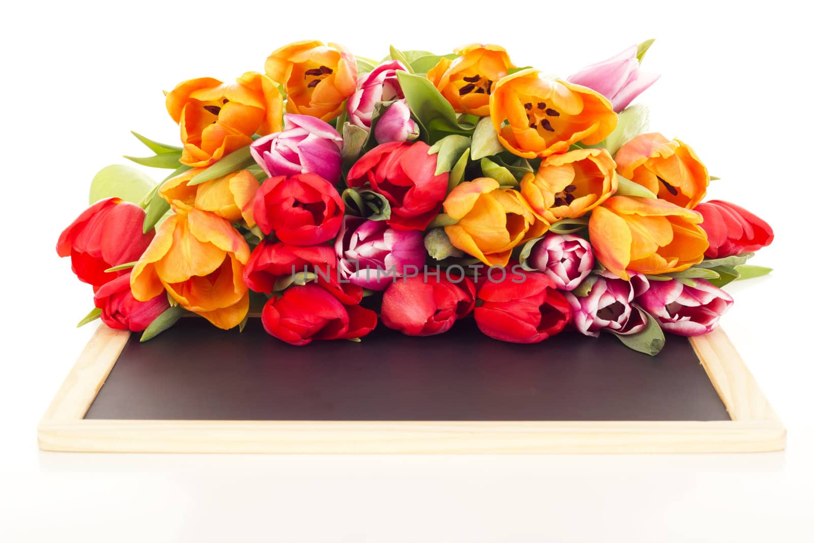 Bunch of tulips with blackboard
