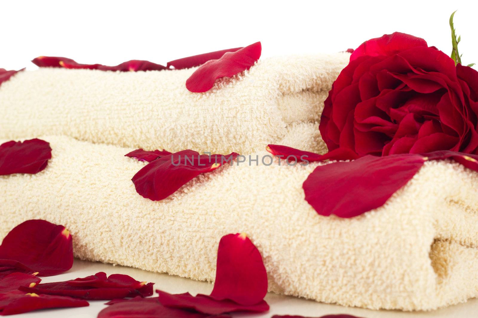 Wellness decoration
