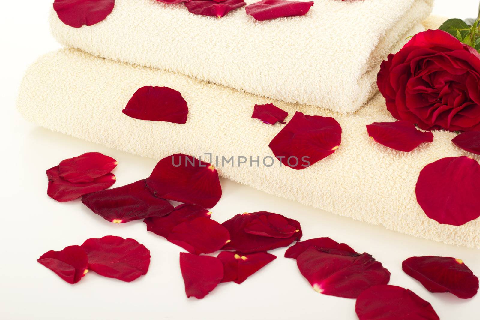 Wellness decoration