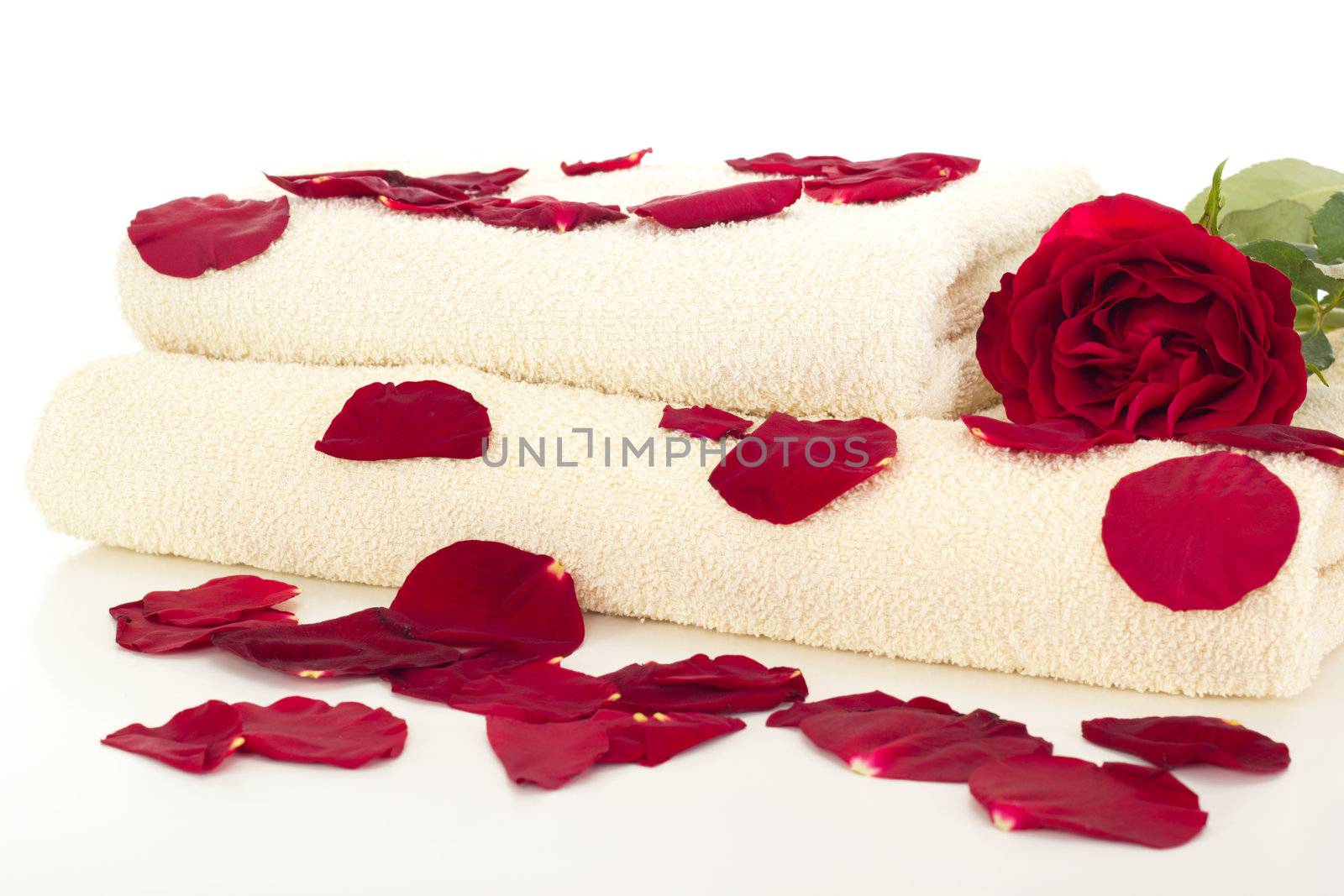 Wellness decoration