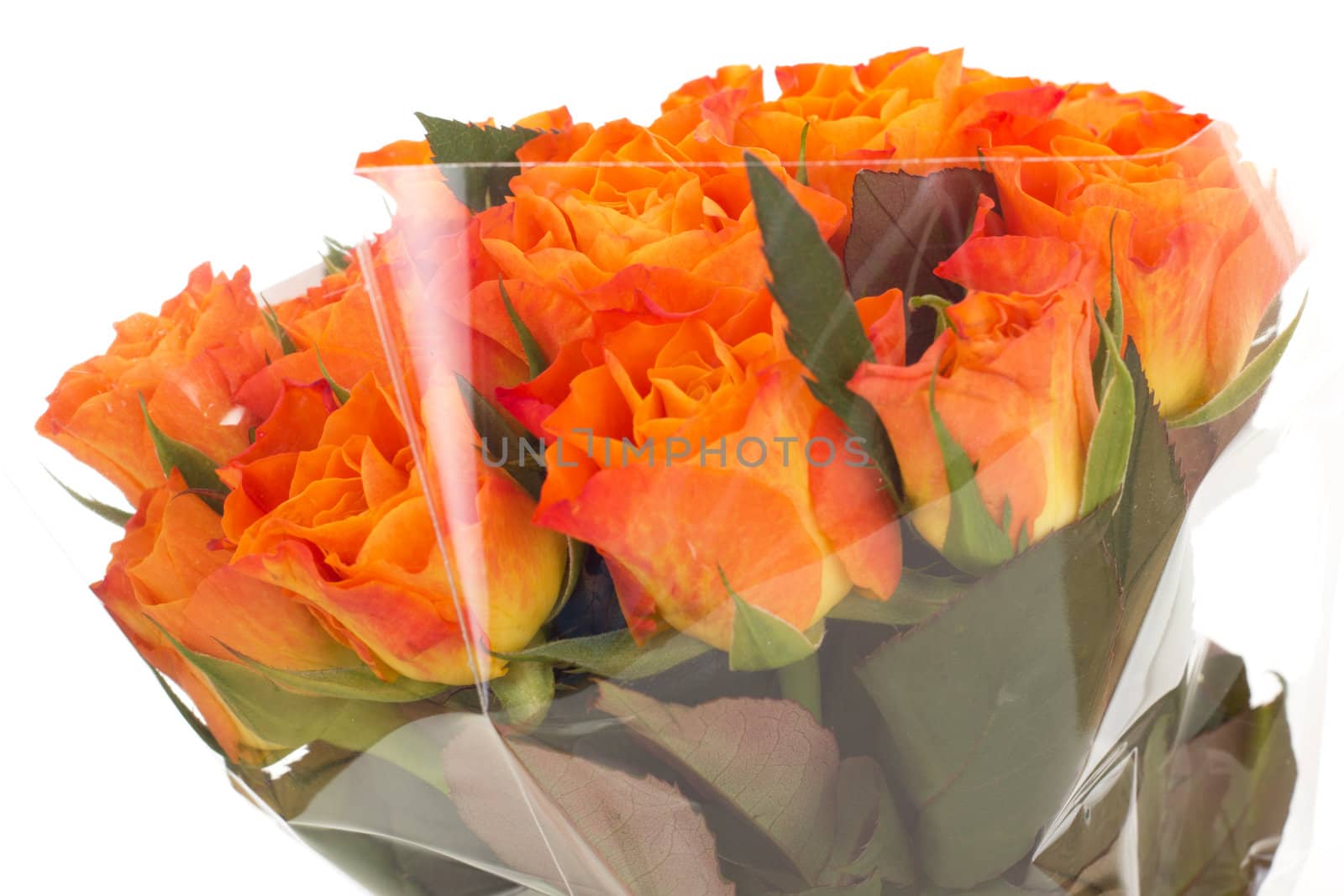 Bunch of roses