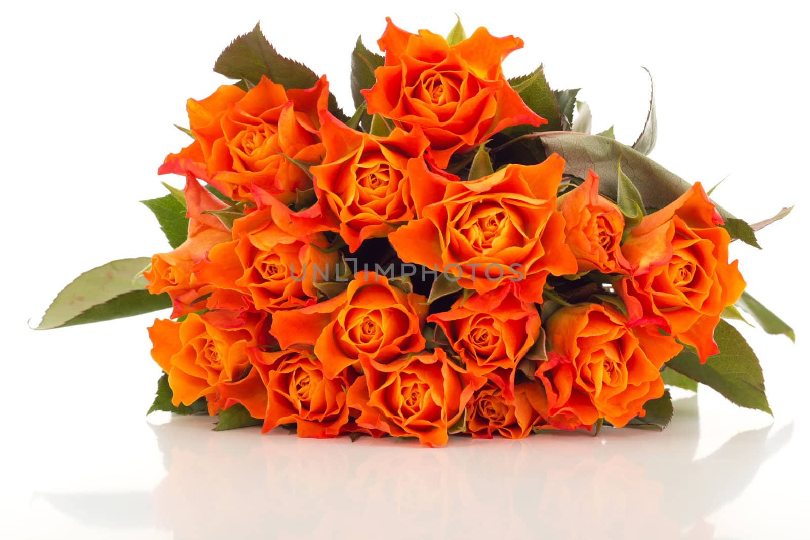 Bunch of roses