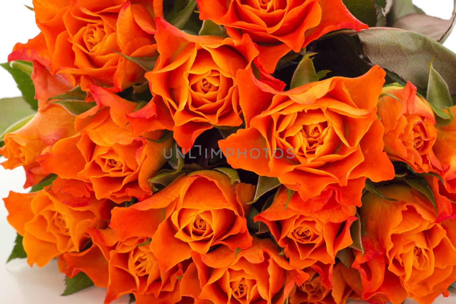 Bunch of roses