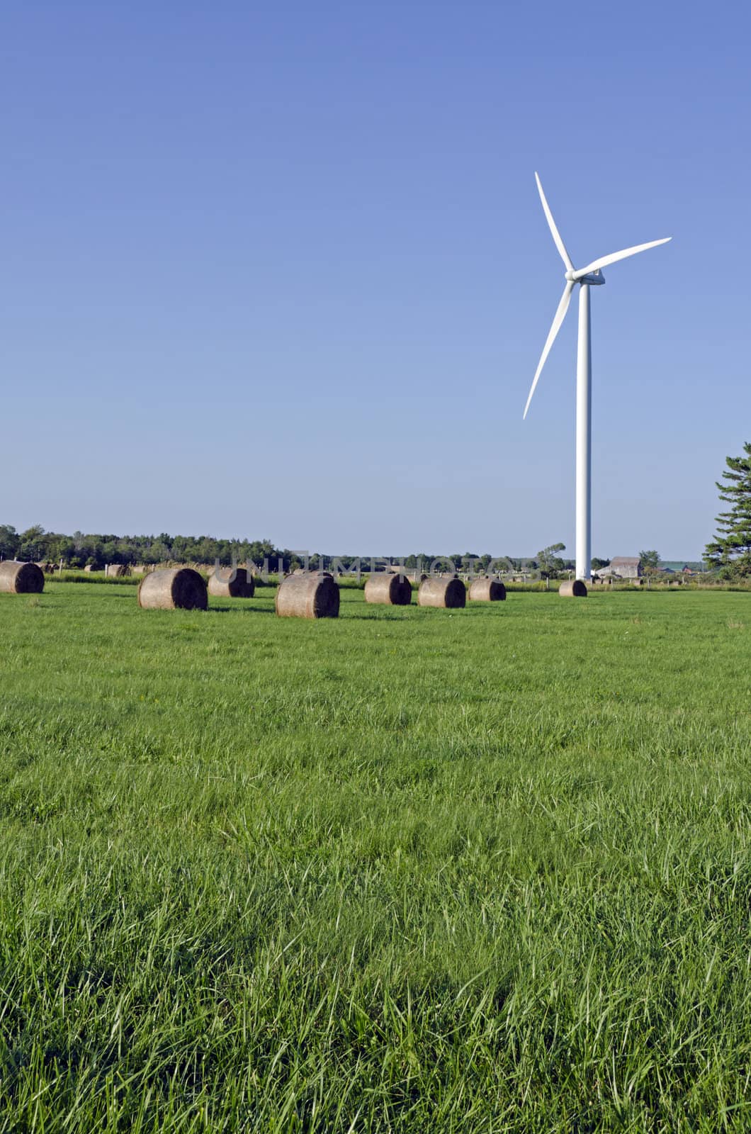 Wind turbine and hay bails in a field on green grass background
