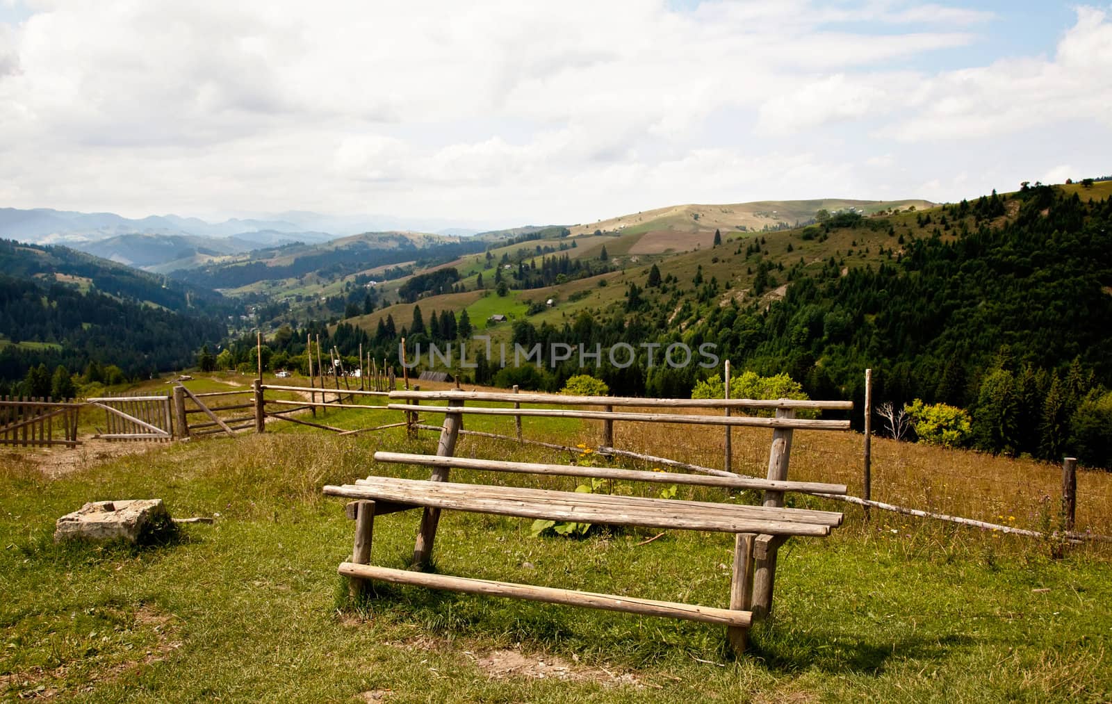 Bench in the field in summer in Carpathian