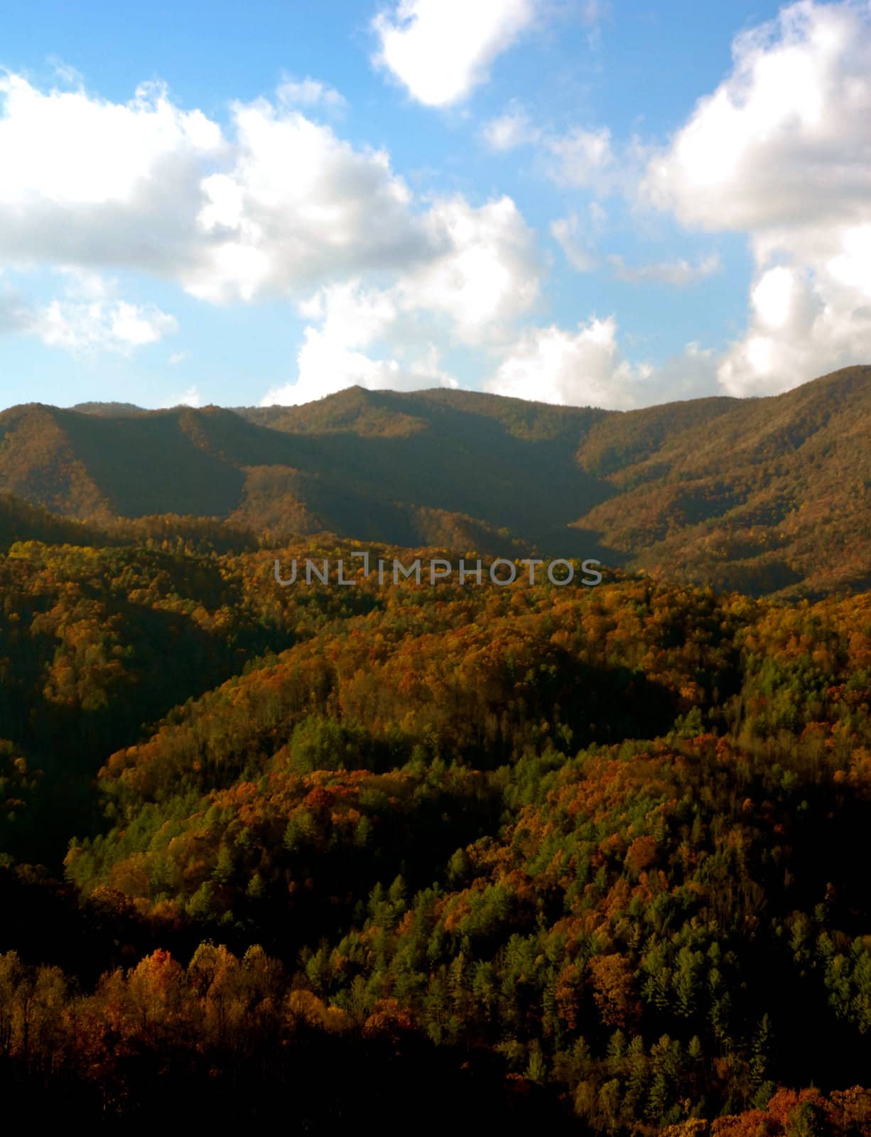 Asheville North Carolina Mountains by RefocusPhoto