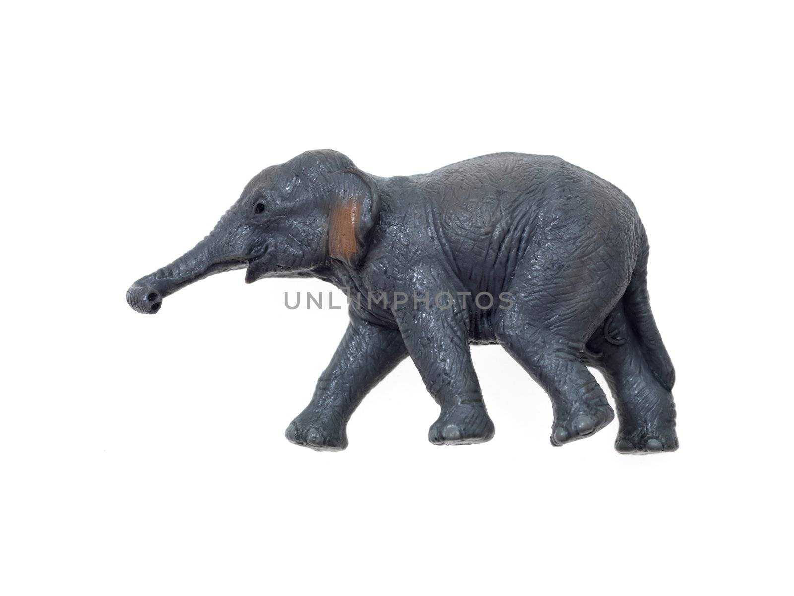 Toy animals isolated against a white background