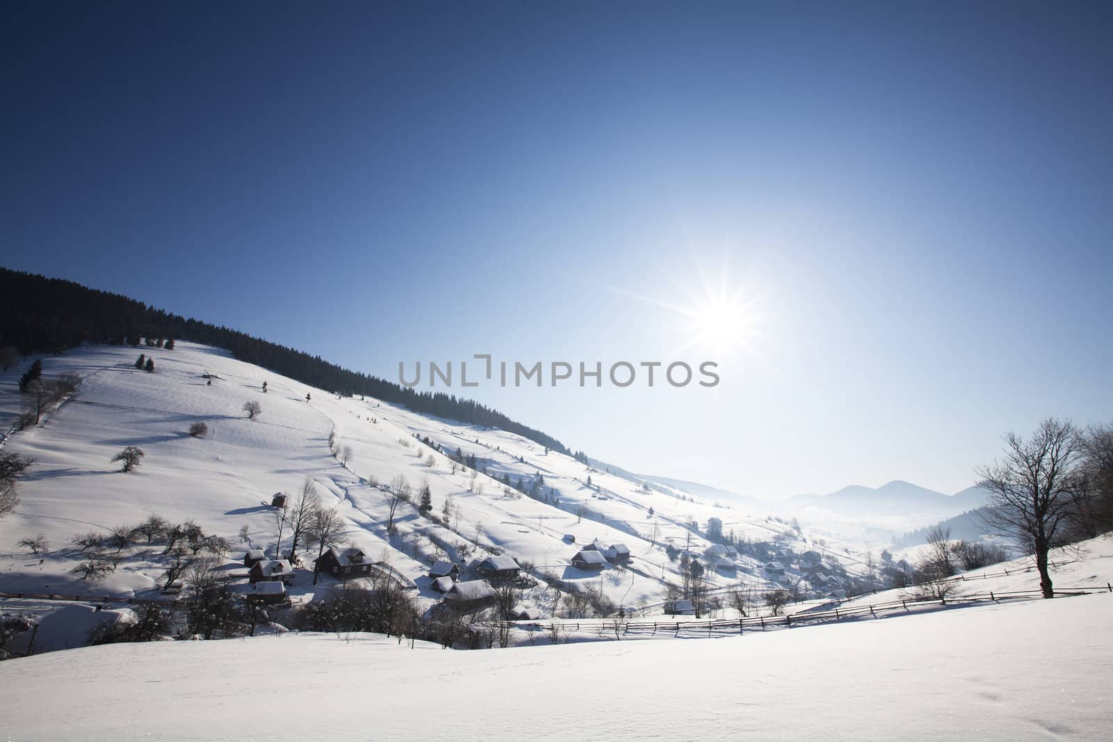 Carpathian mountains in winter
