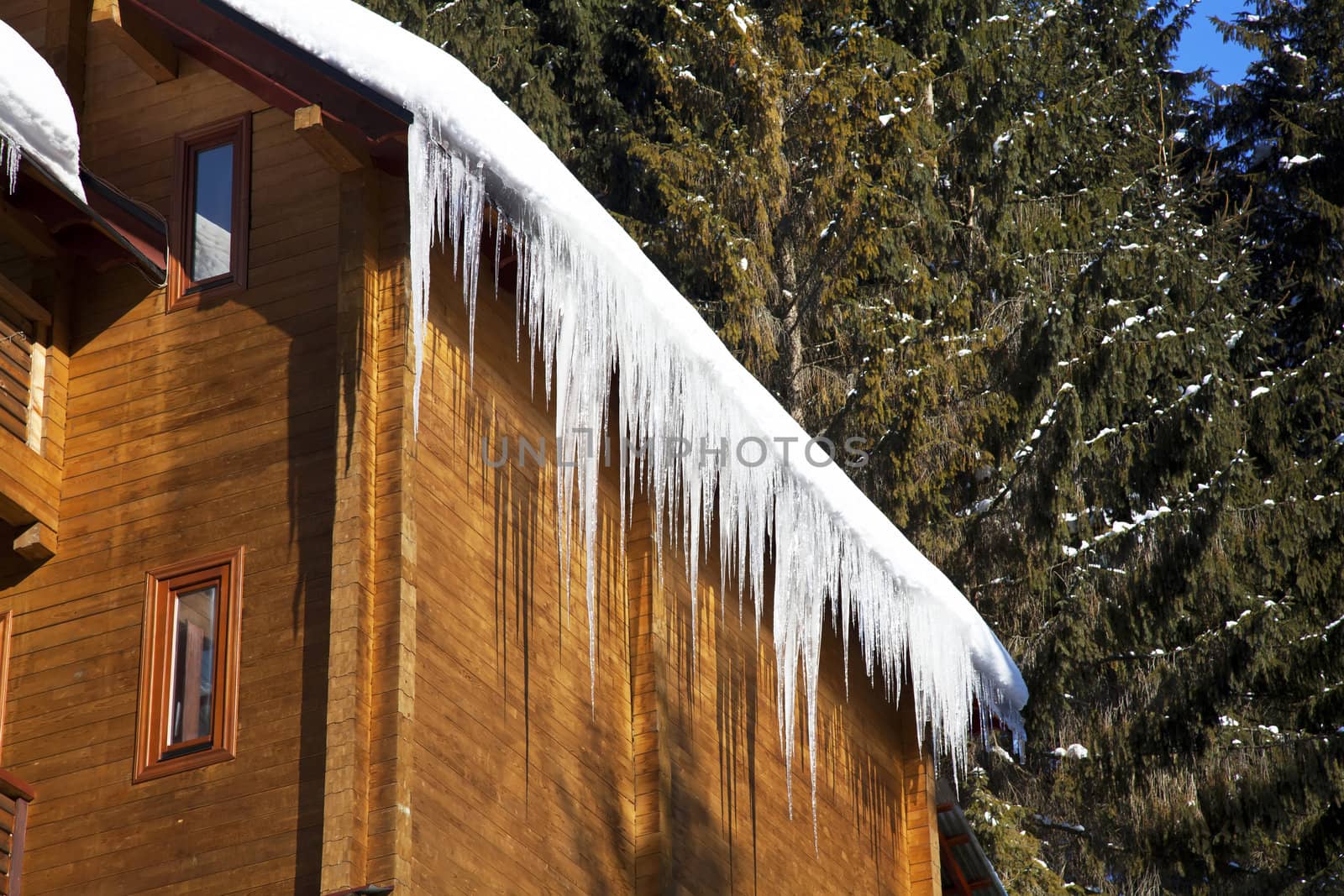 Huge icicles on the roof in Carpathians Mountains