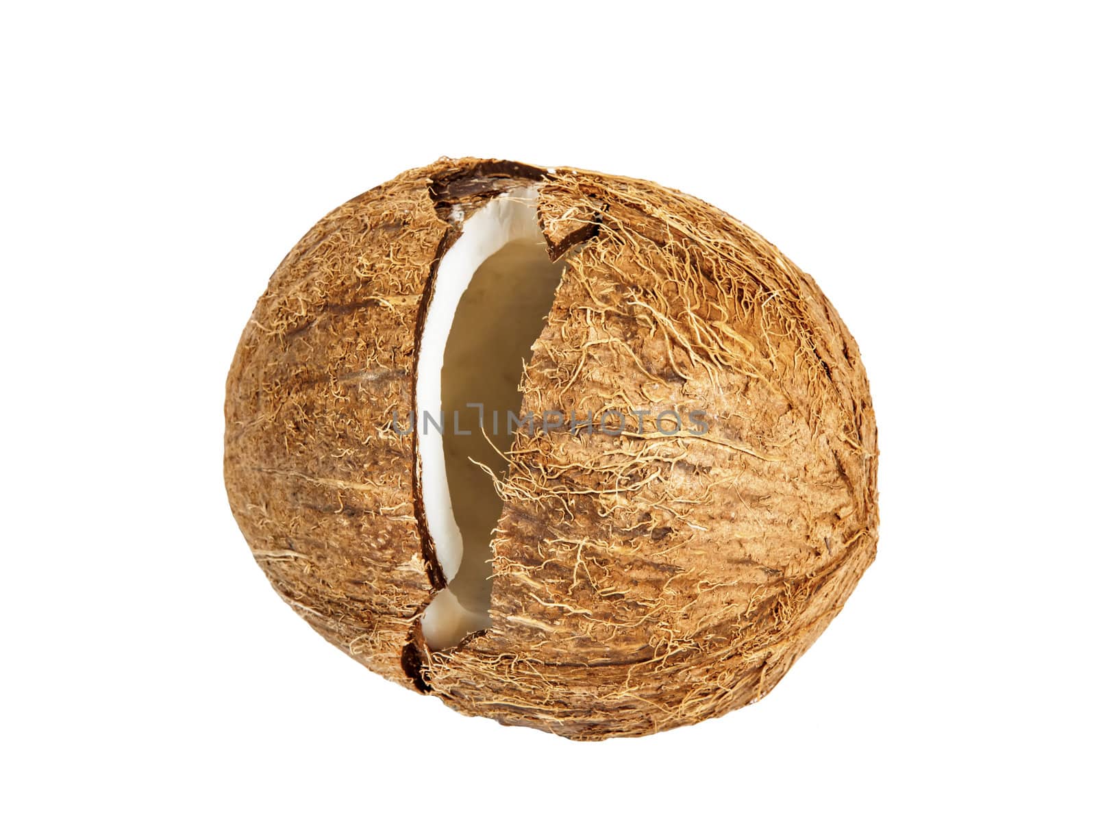 Coconut isolated on a white  by RawGroup