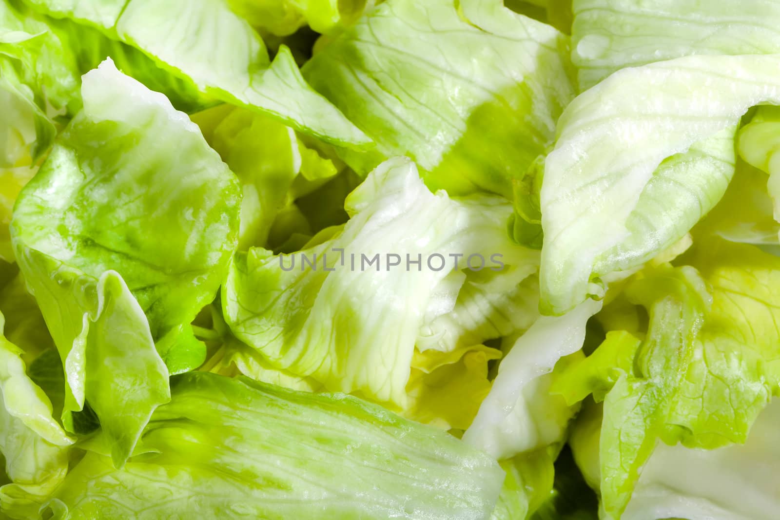 Fresh green healthy salad lettuce slices