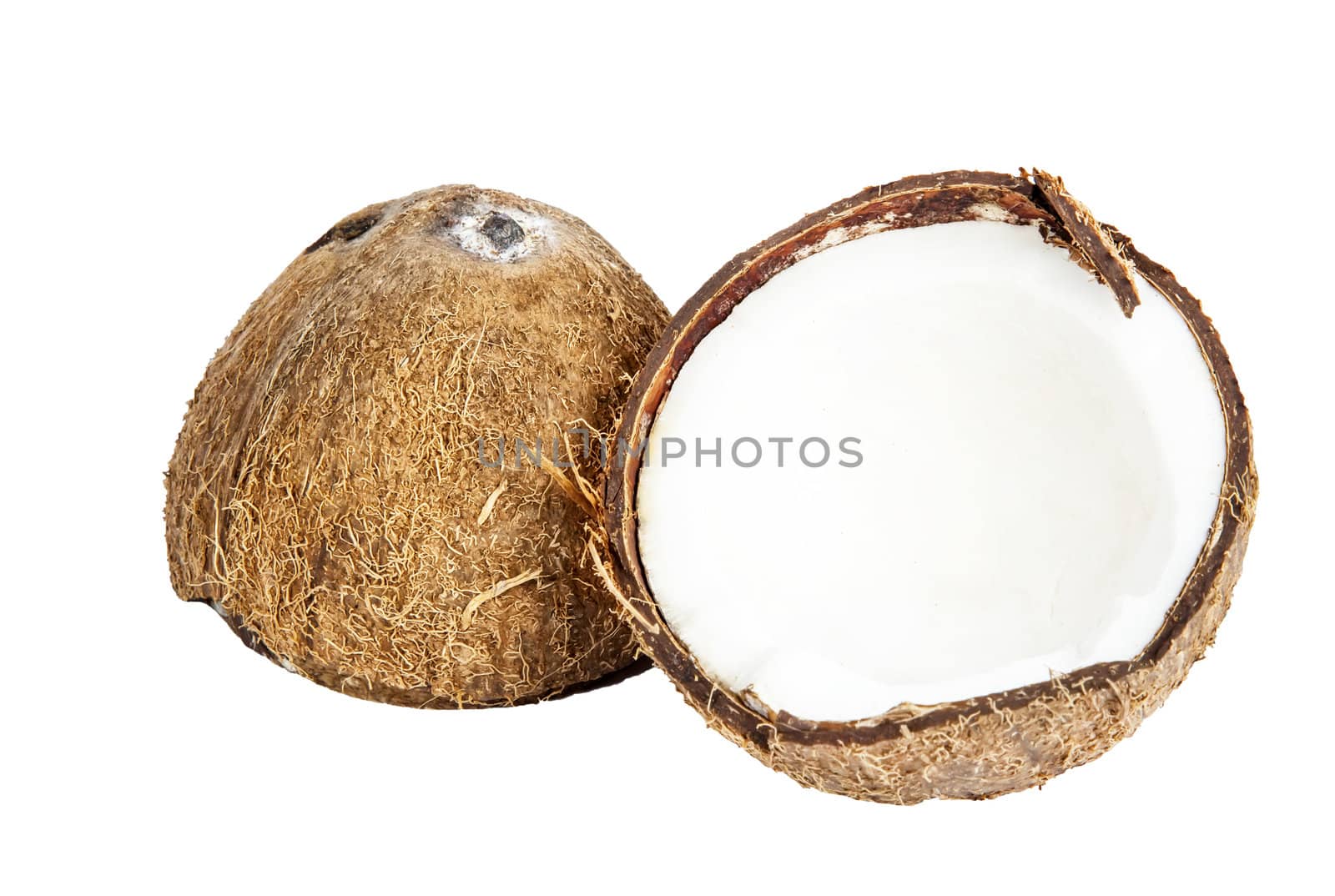 Two halves of coconut 